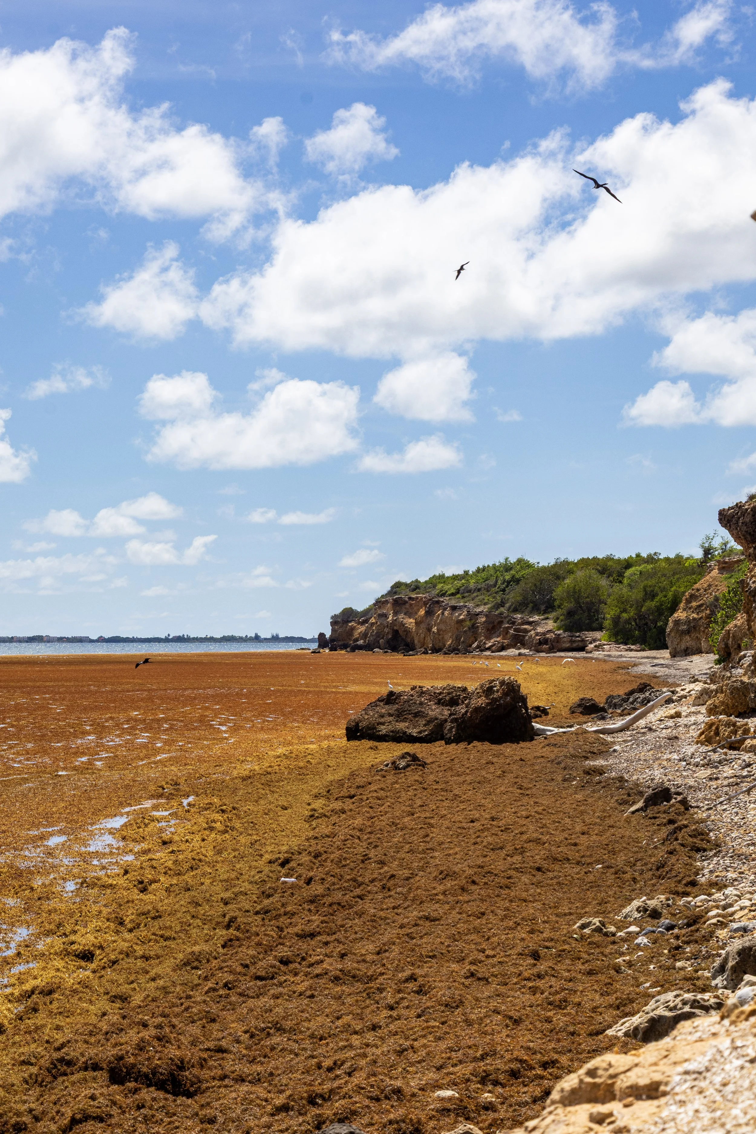Cabo Rojo