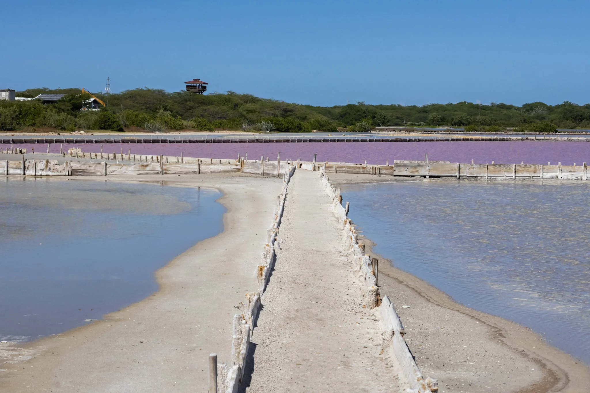 Las Salinas