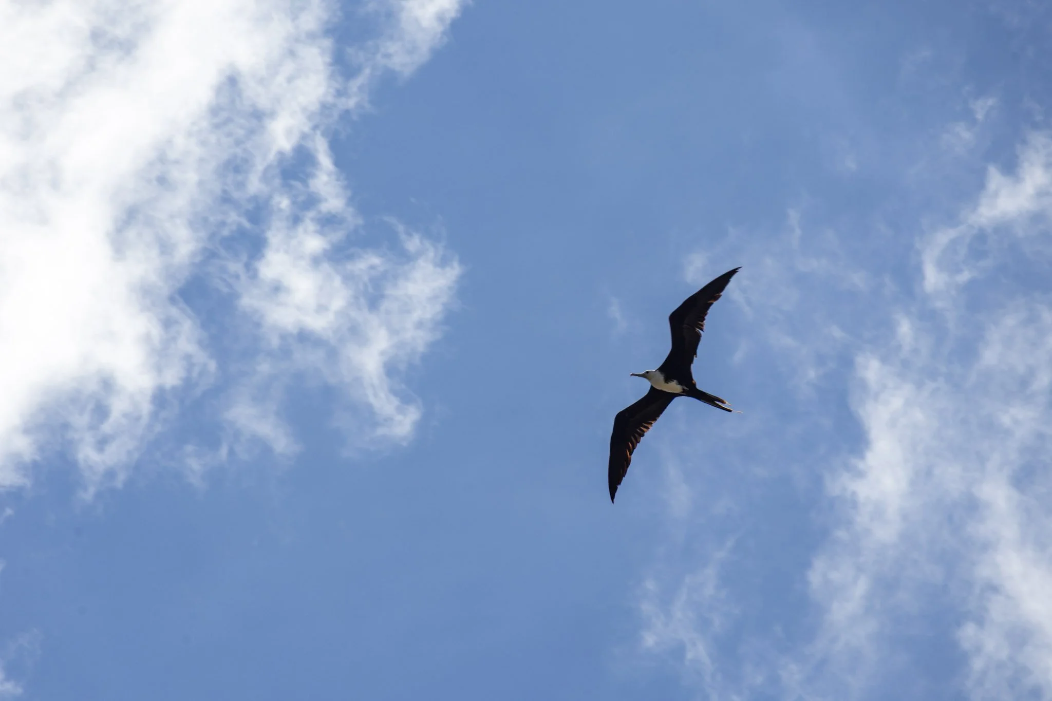 17-IMG_9784.jpg