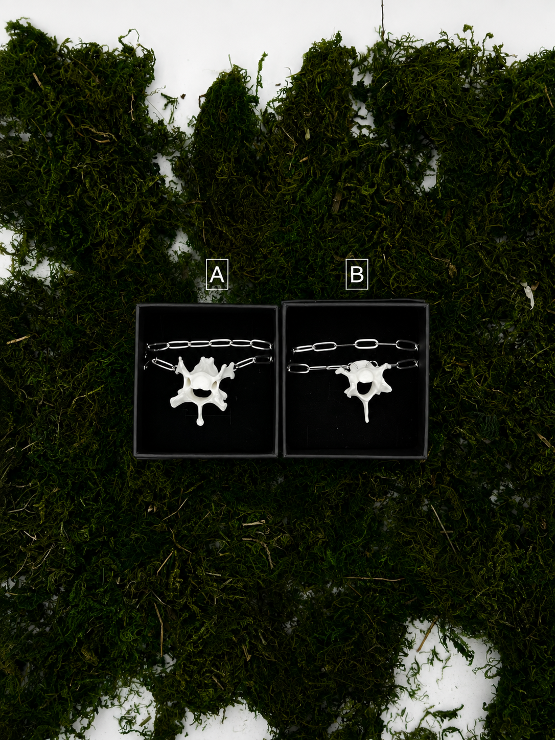 ChatGPT Image 10. Aug. 2026, 22_54_59.png