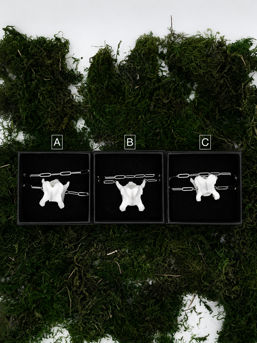 ChatGPT Image 10. Aug. 2026, 22_50_15.png