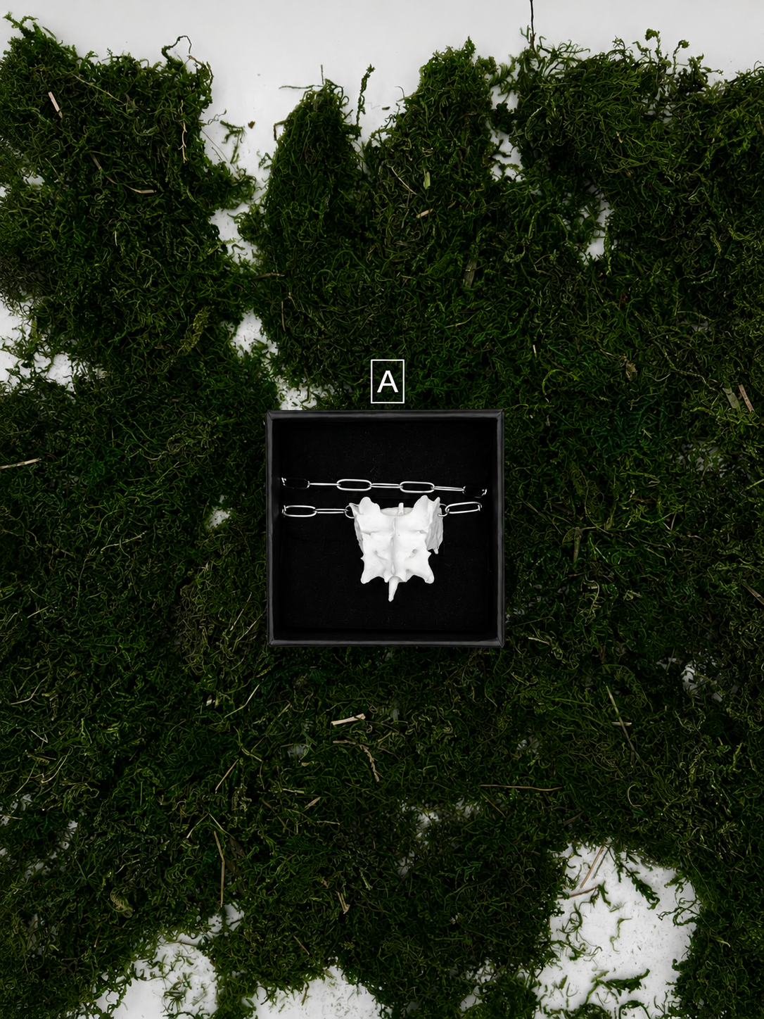 ChatGPT Image 10. Aug. 2026, 22_54_07.png