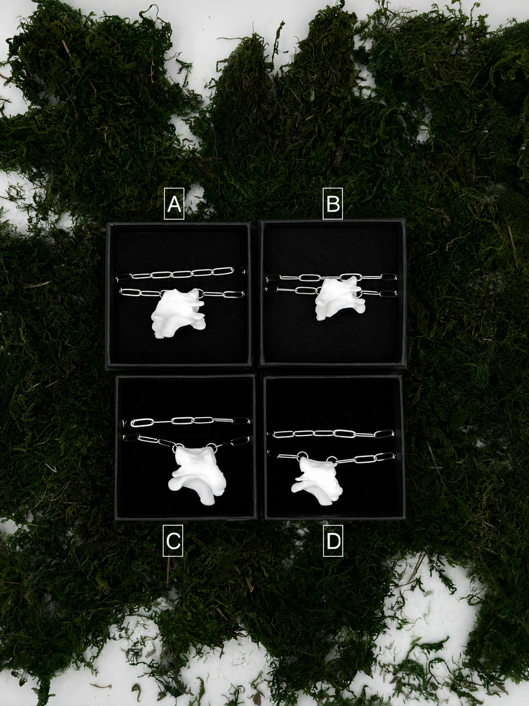 ChatGPT Image 10. Aug. 2026, 22_53_02.png