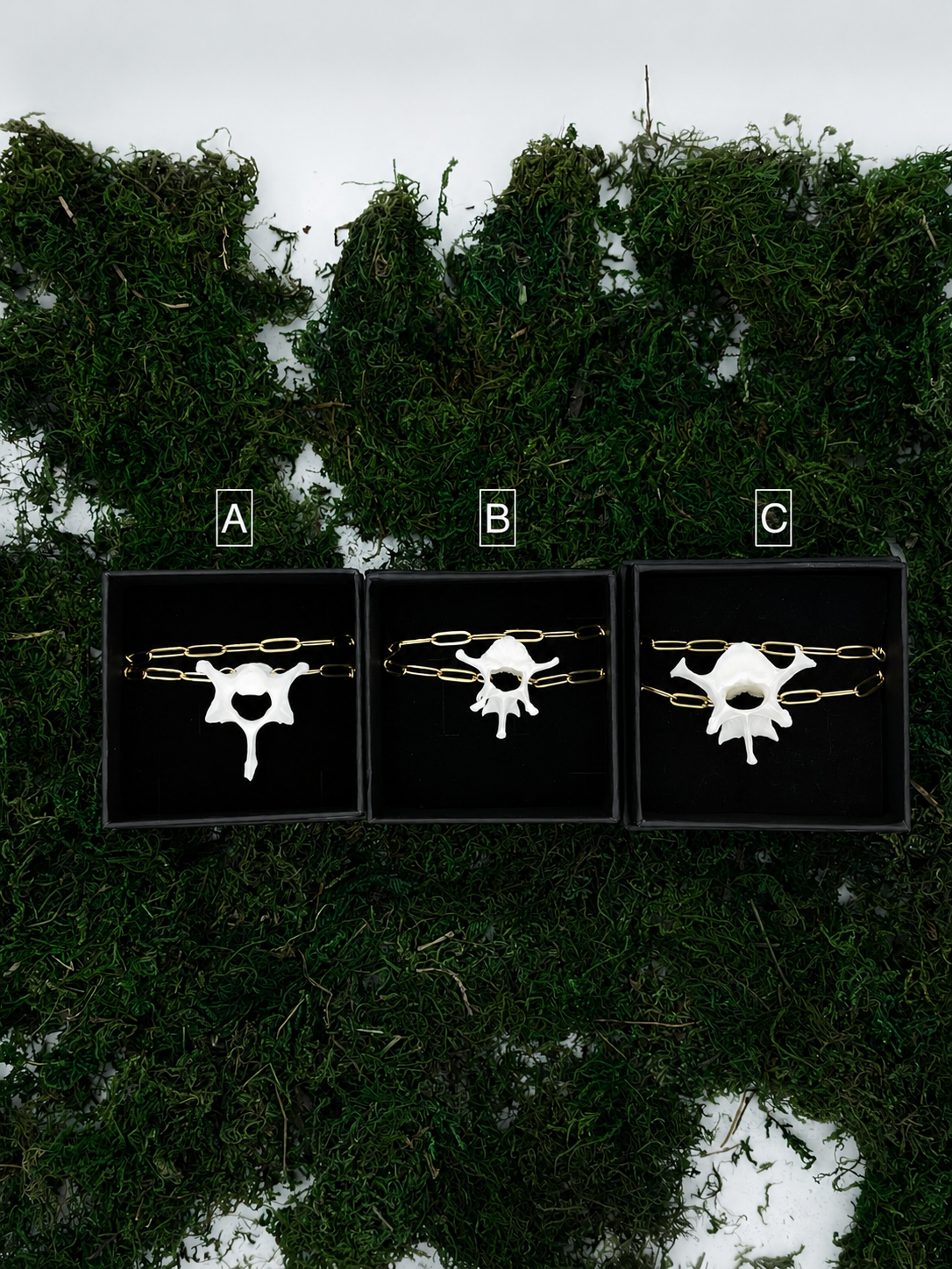 ChatGPT Image 10. Aug. 2026, 22_49_51.png