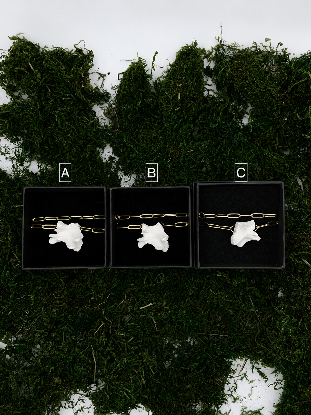 ChatGPT Image 10. Aug. 2026, 22_49_58.png