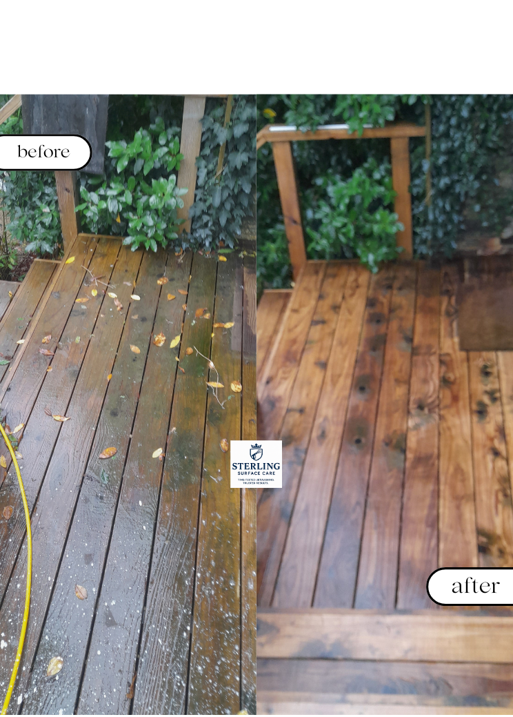 Untitled design (1).png