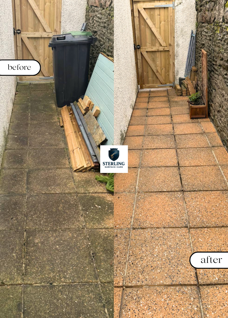 Untitled design (3).png