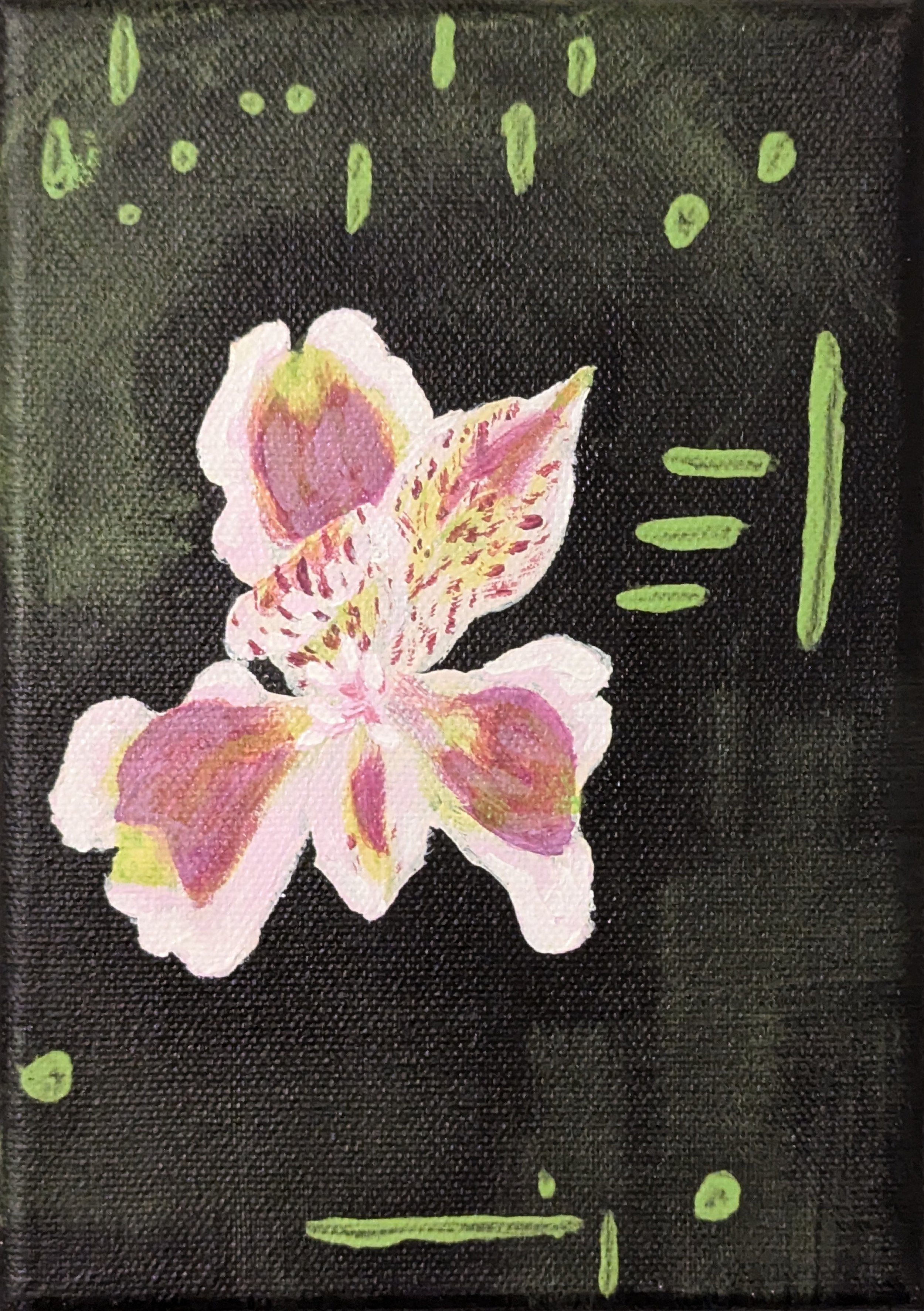 Lilly