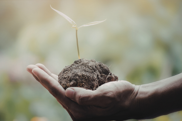 How to innovate for the long game while nurturing what matters now