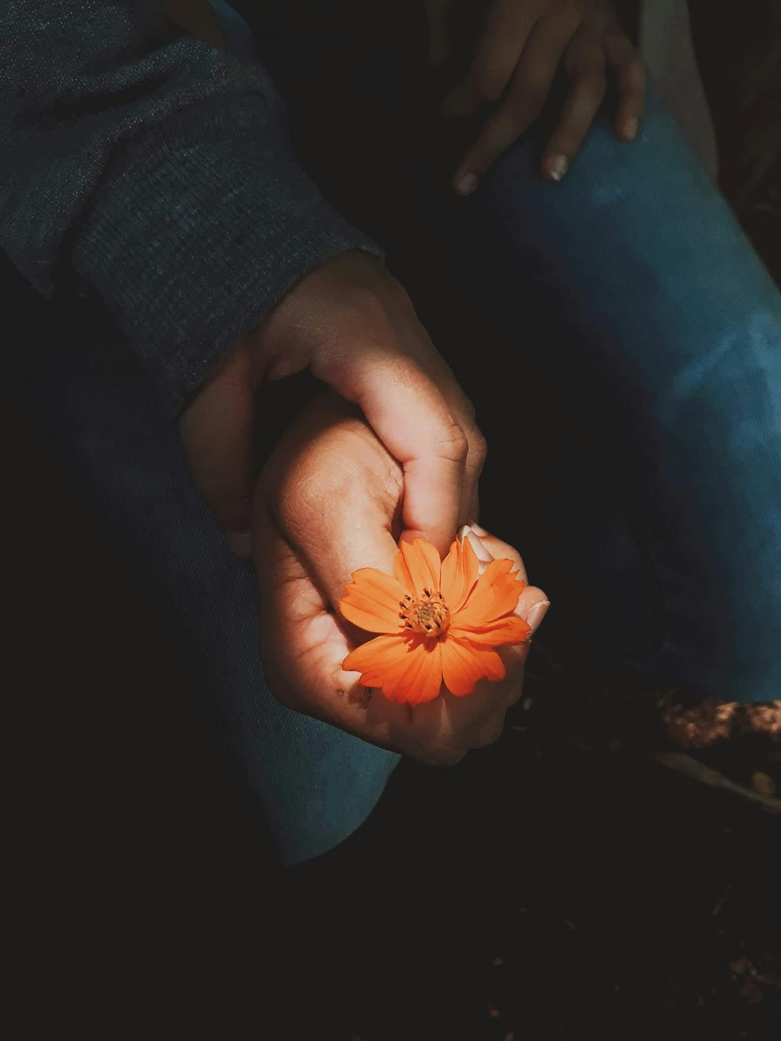 The Action of Generosity