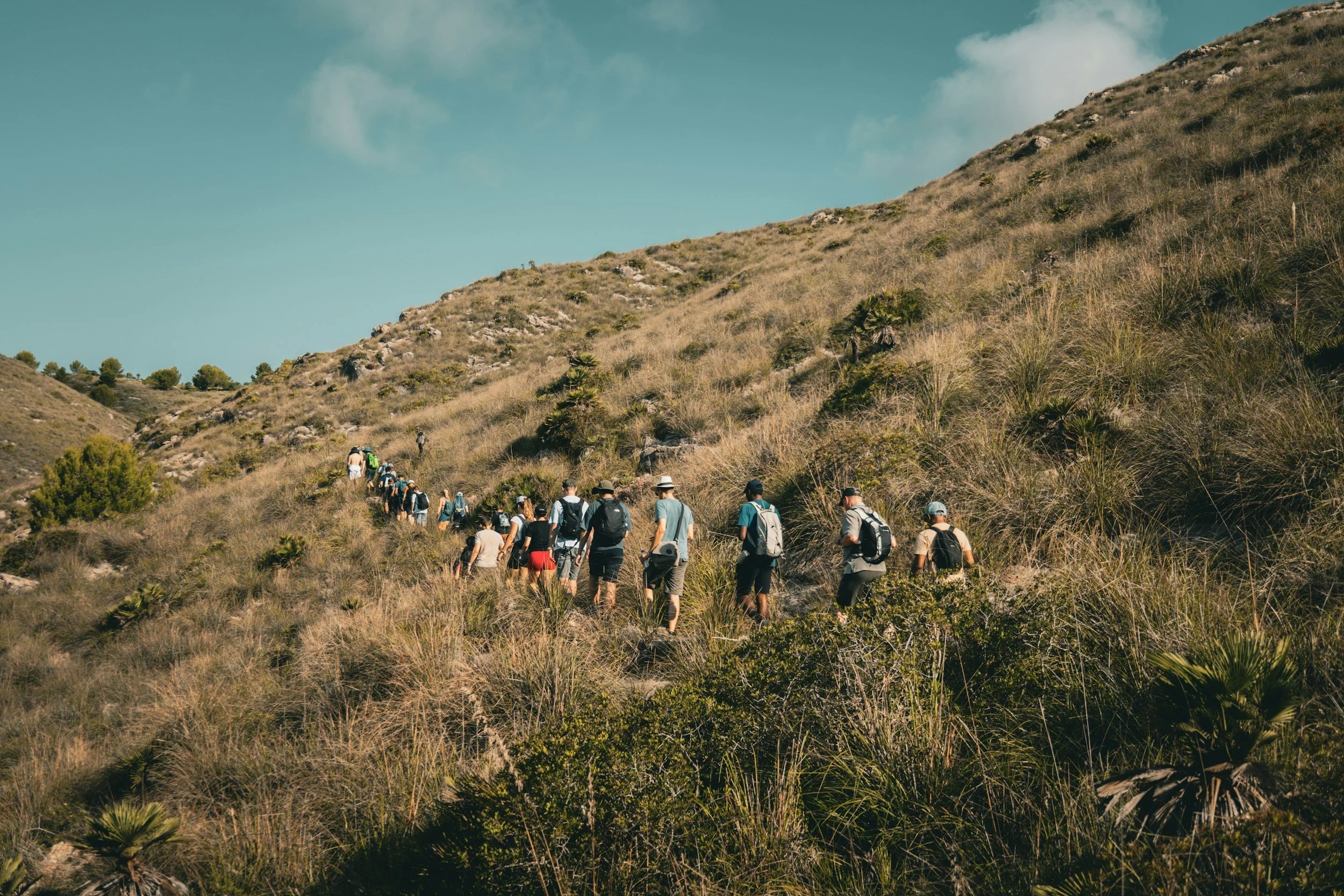 people hiking on a hill as trail winds with blue skies above