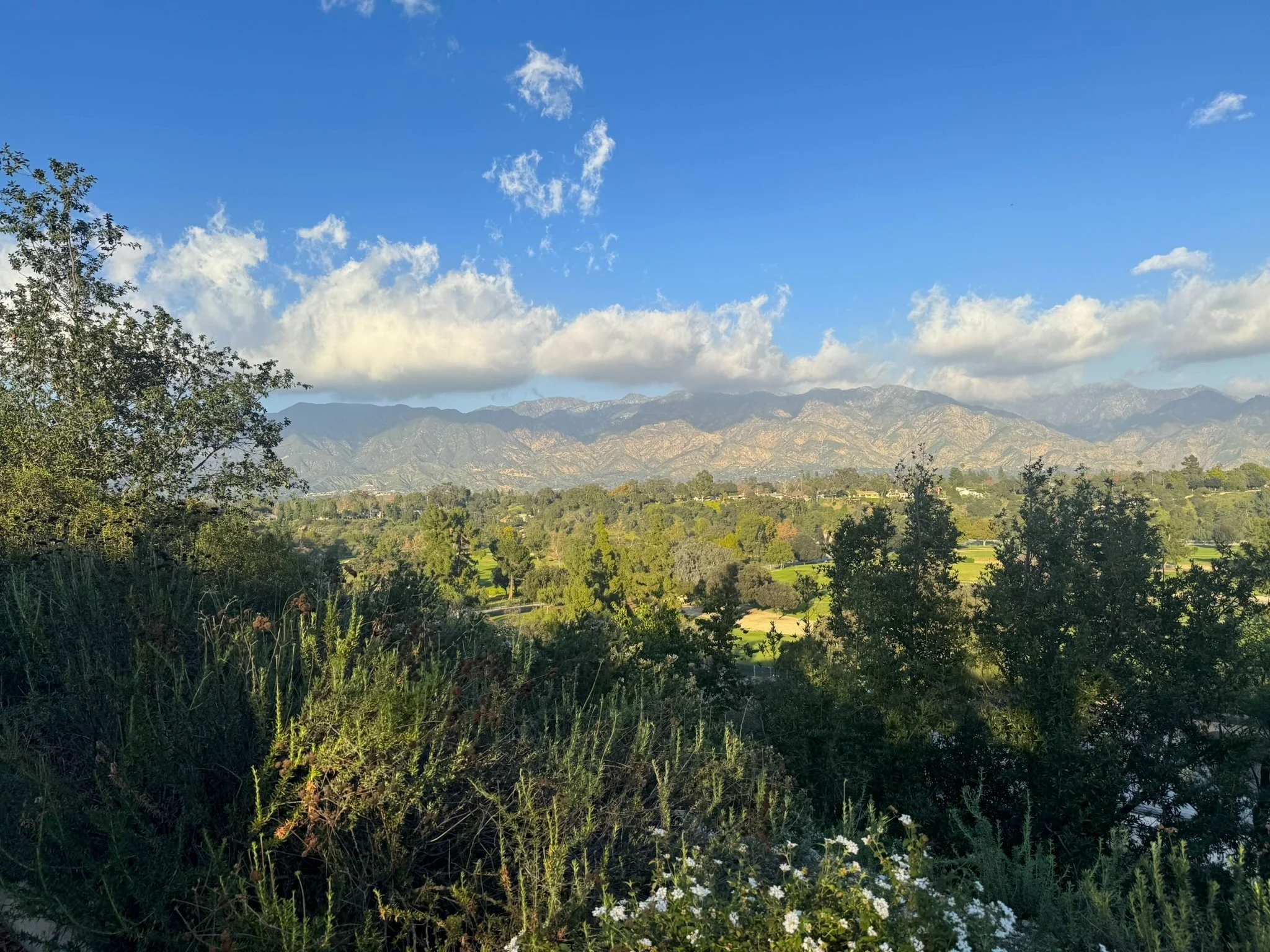 A scenic view of distant mountains, green trees, and a partly cloudy blue sky.