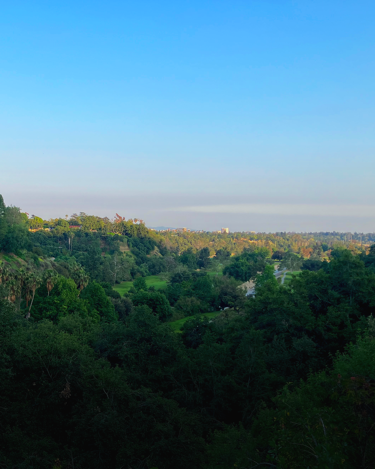 Scenic view of a lush green valley with trees and mountains under a clear blue sky.