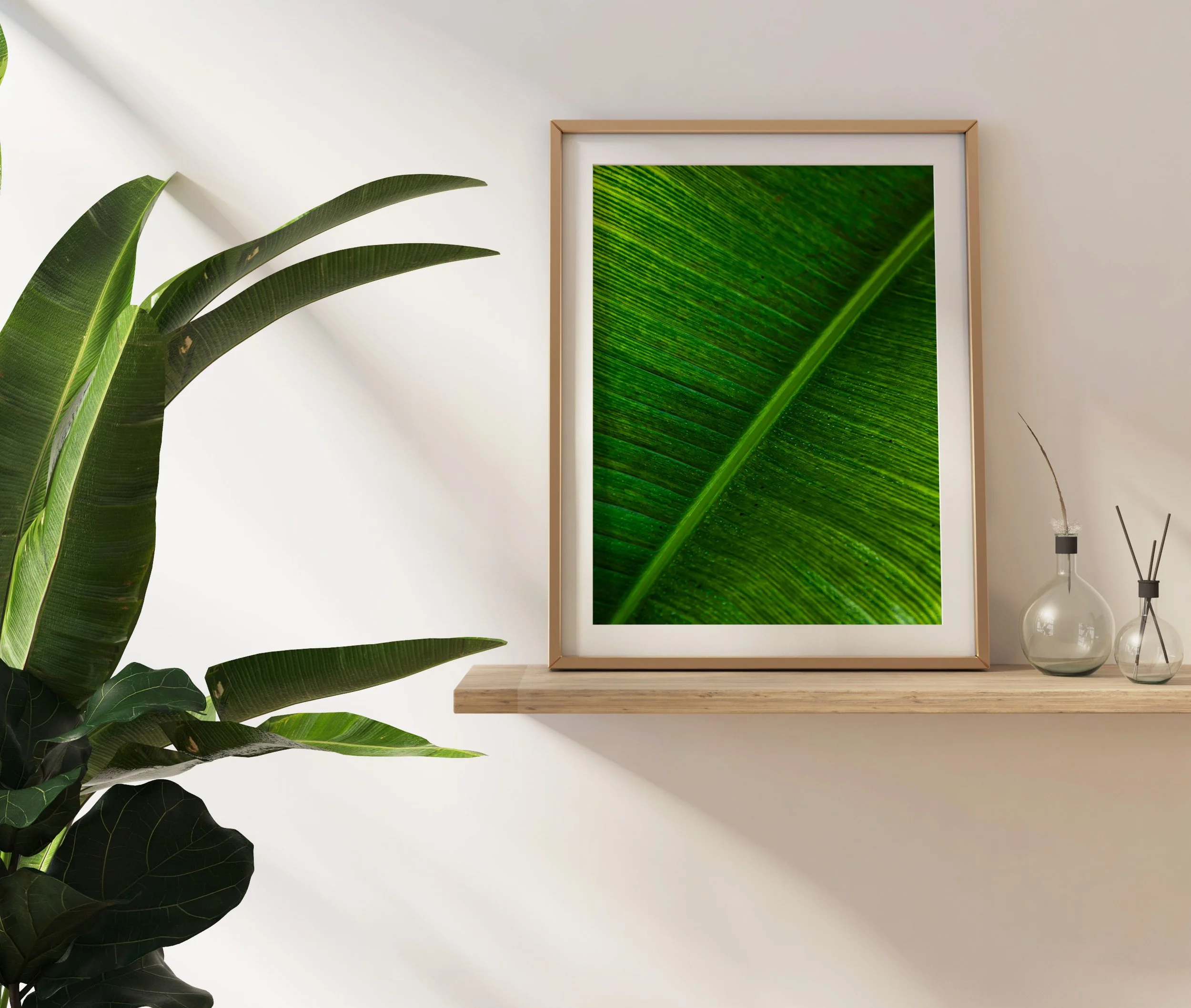 Current Photo on Shelf.jpg