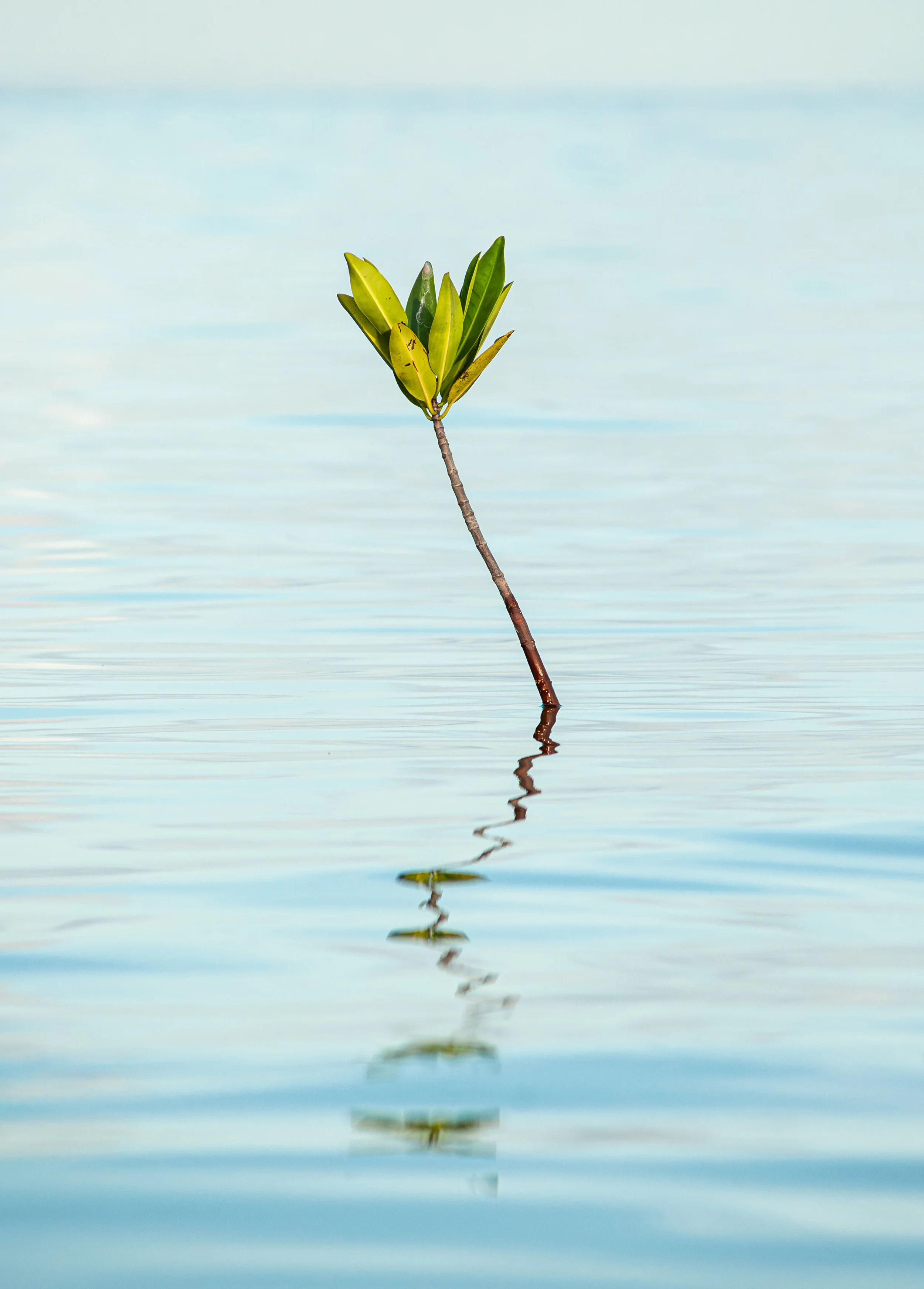 20240916_Macro (17).jpg