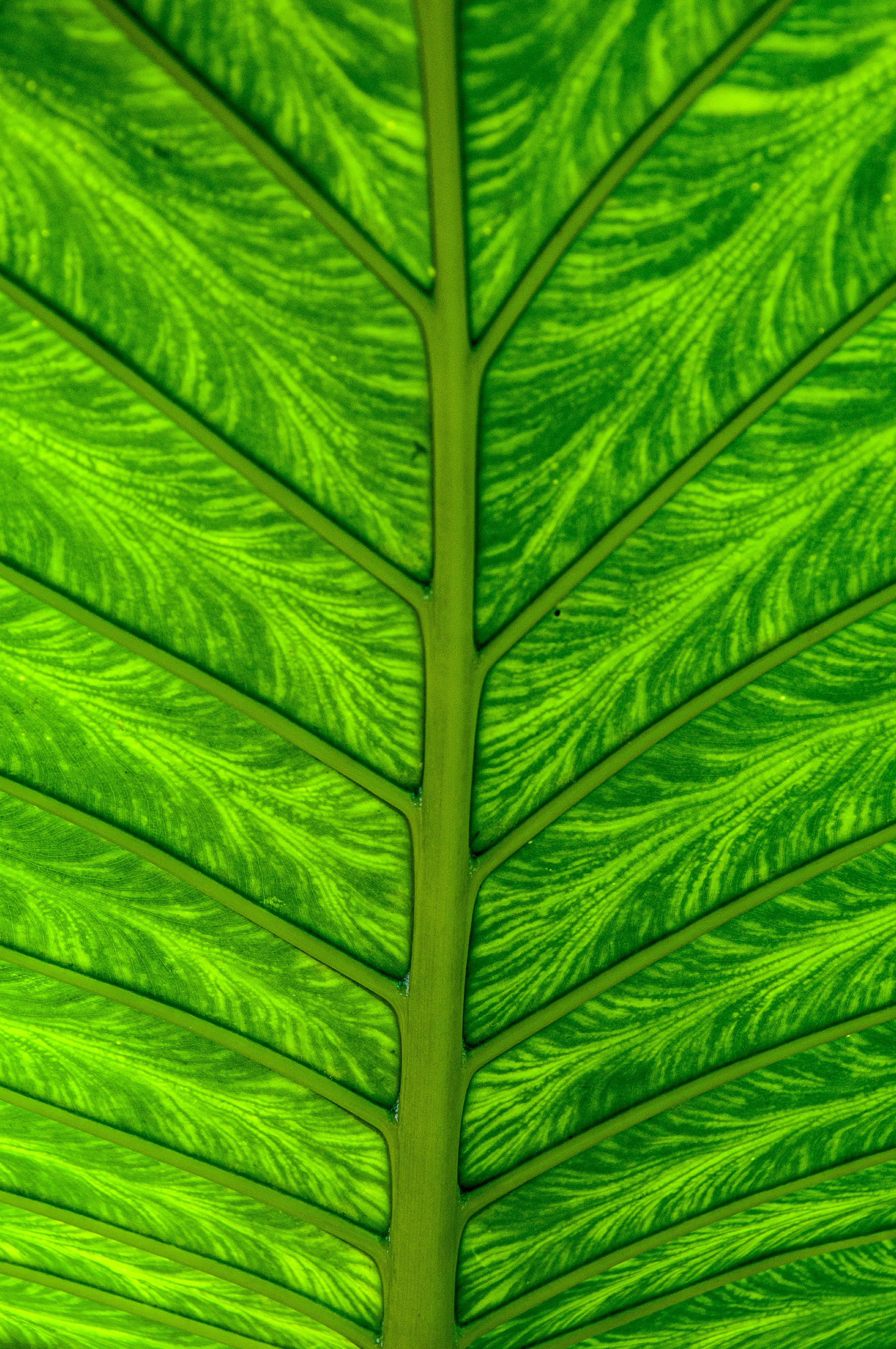 20240701_Abby_Canada (205).JPG