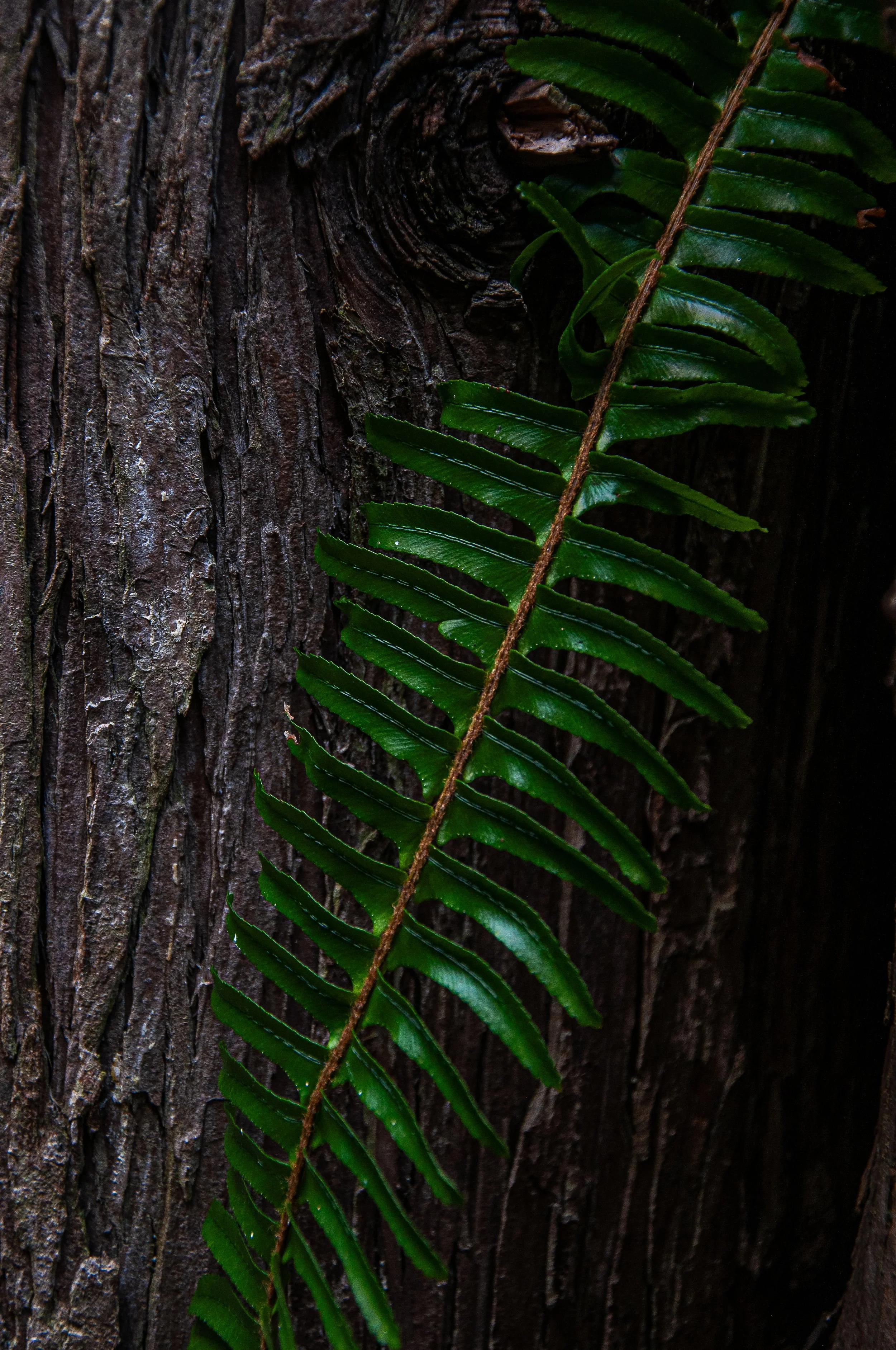 20240701_Abby_Canada (190).JPG