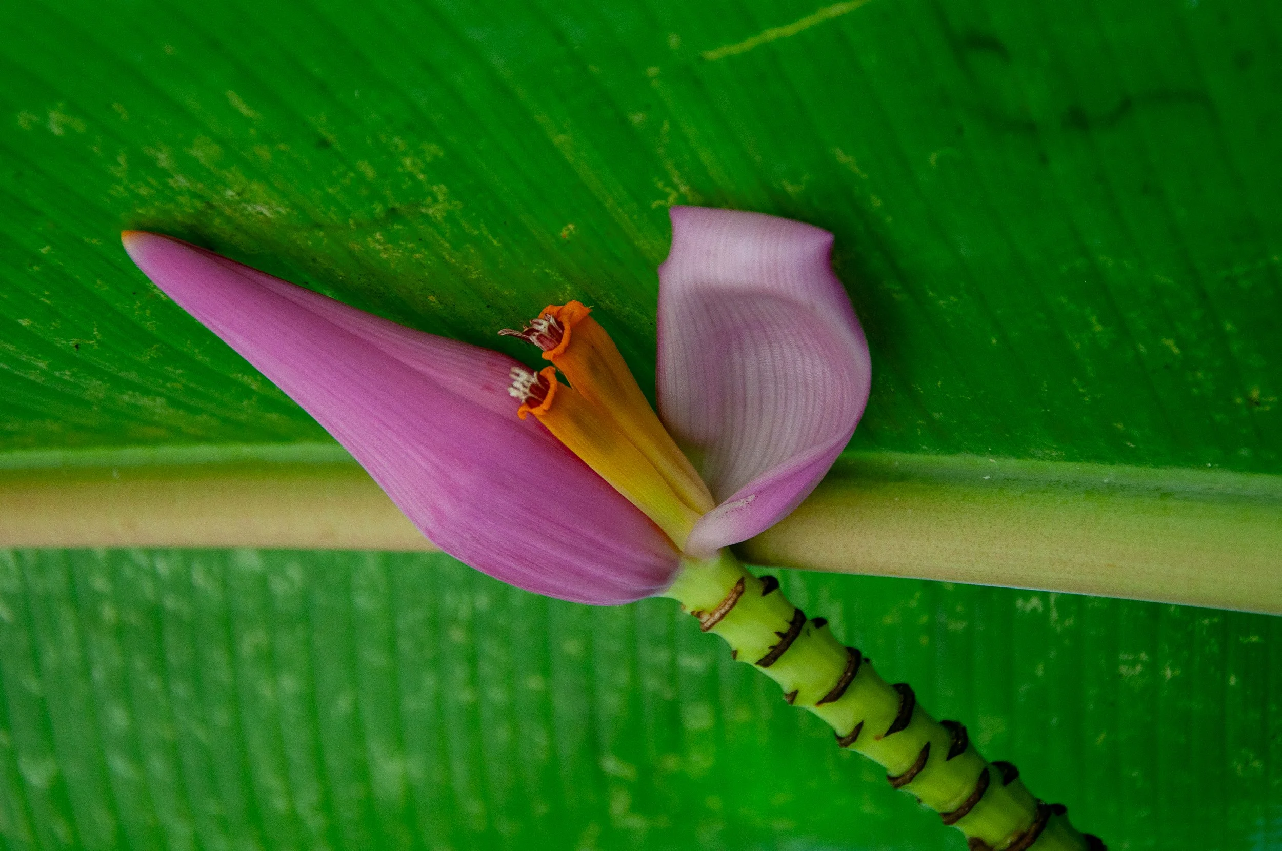 20240701_Abby_Canada (209).JPG