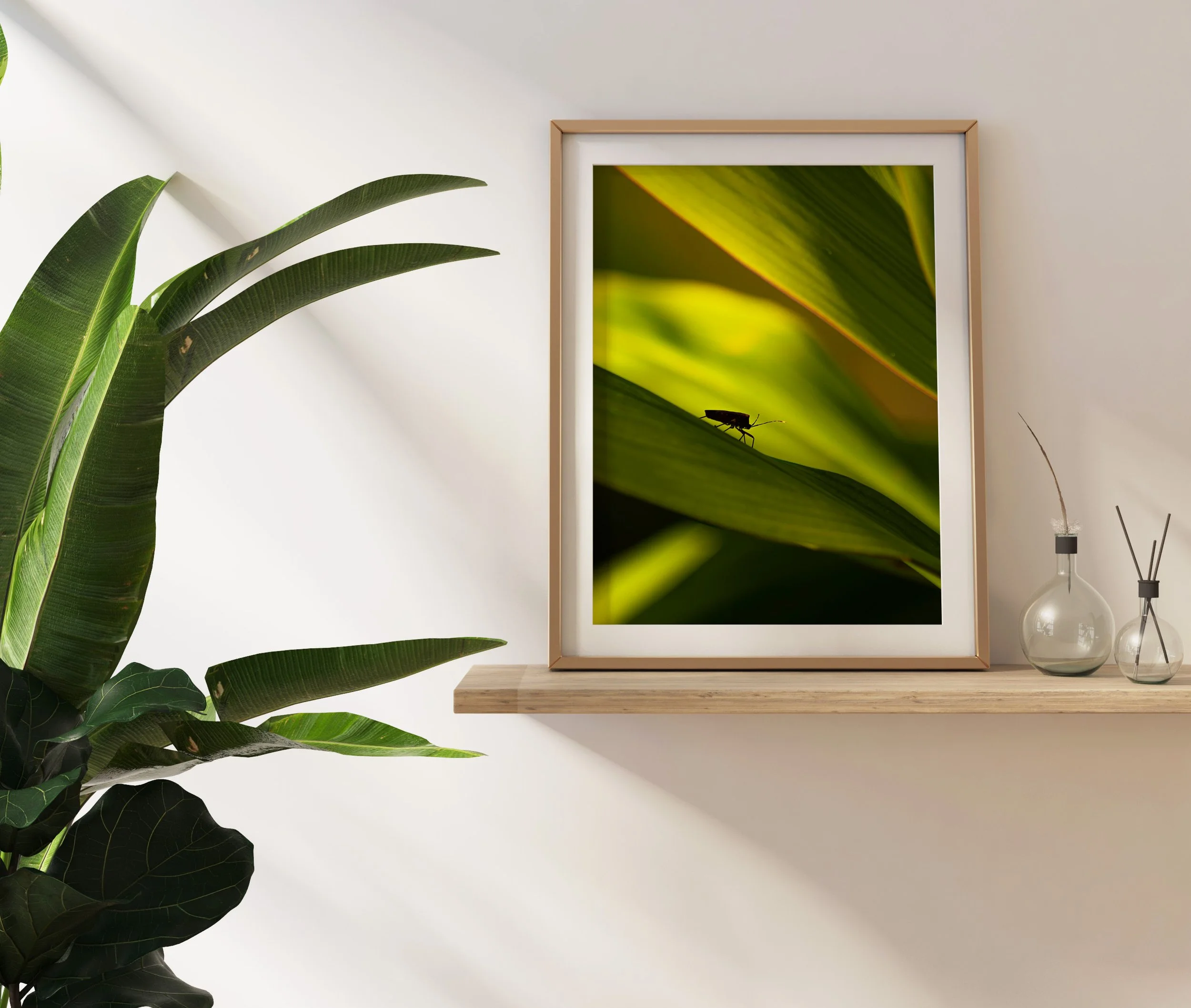 Journey on Shelf.jpg