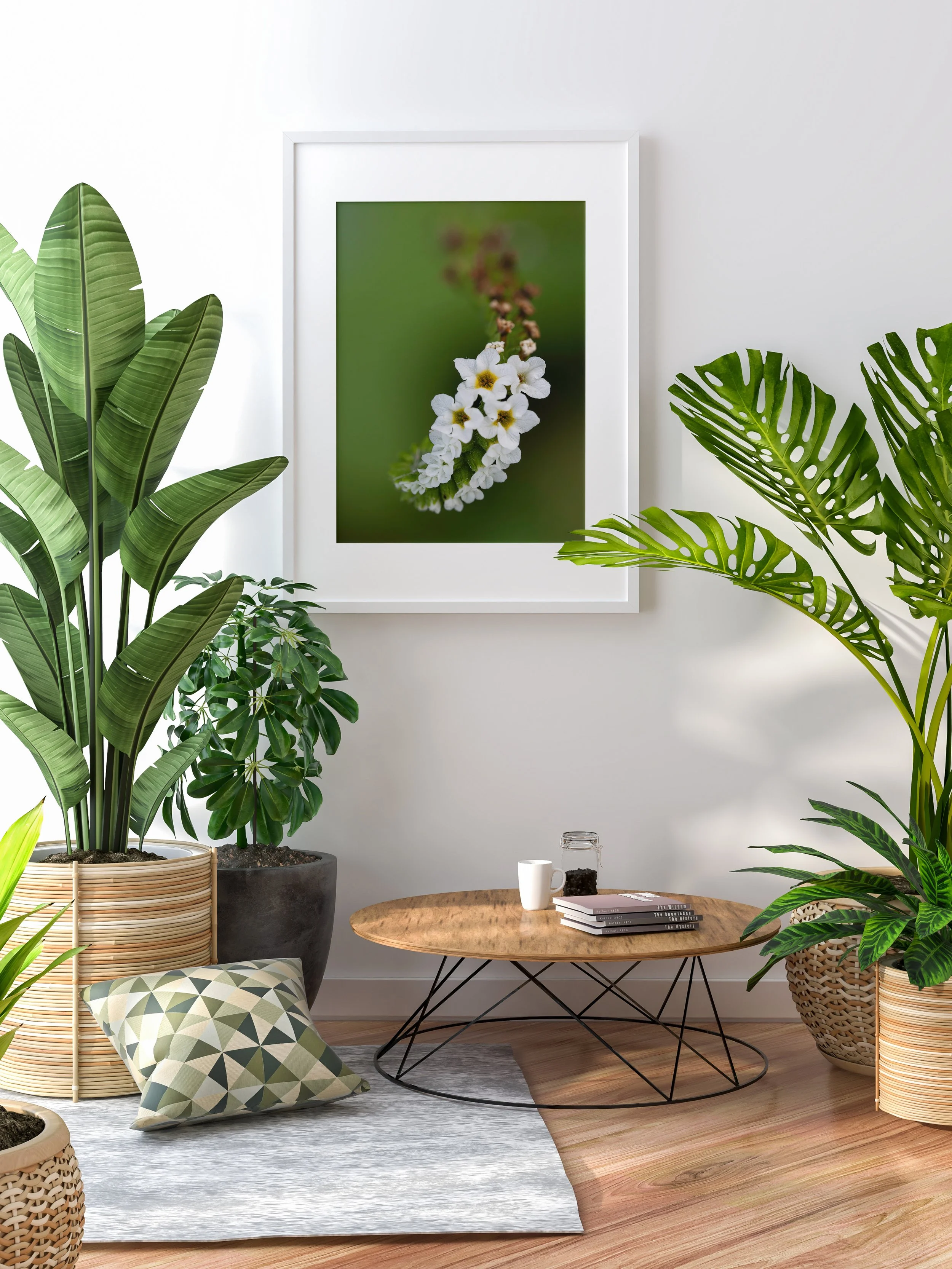 Gathering White Wall Plants.jpg