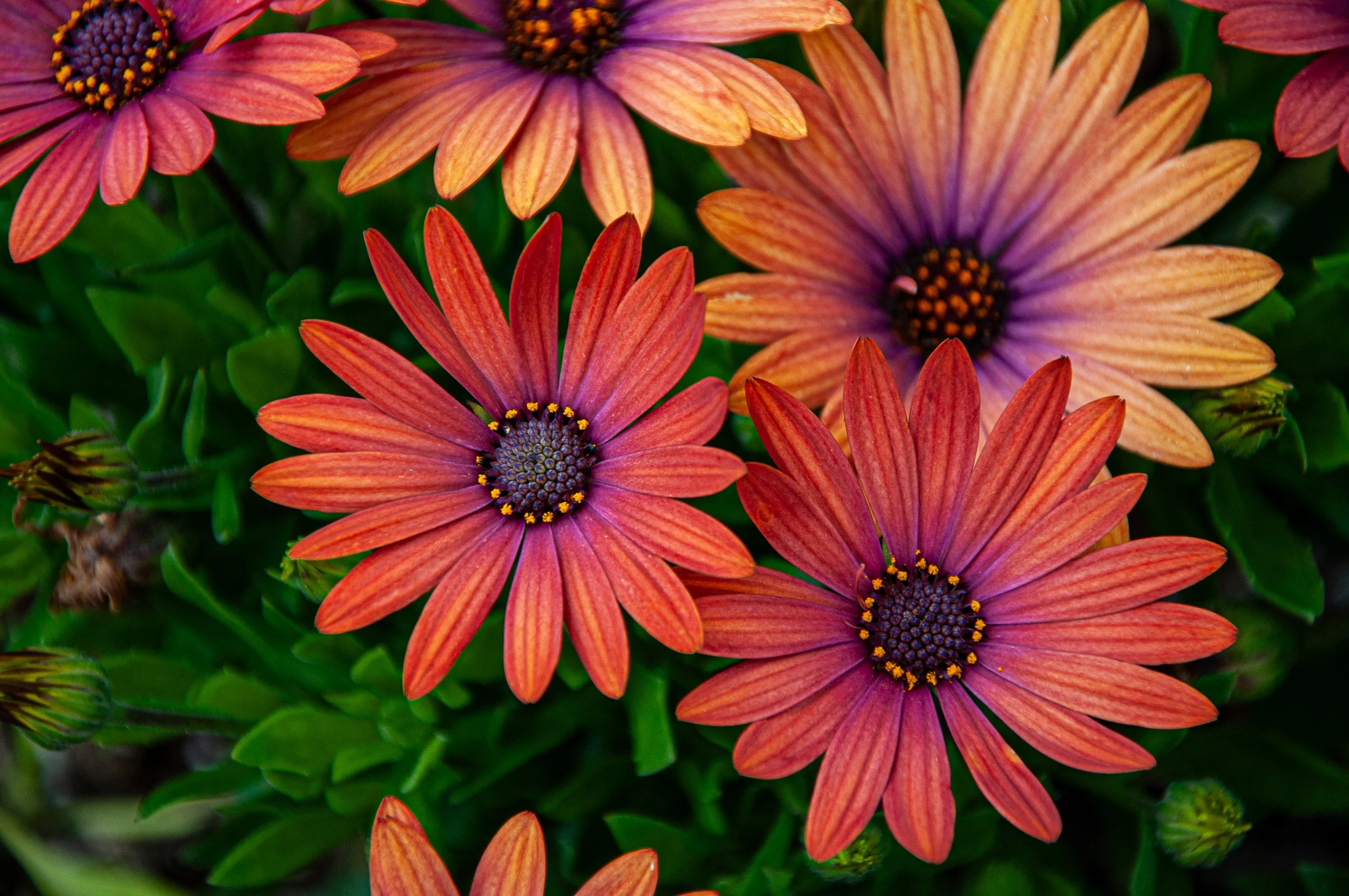 20240701_Abby_Canada (100).JPG