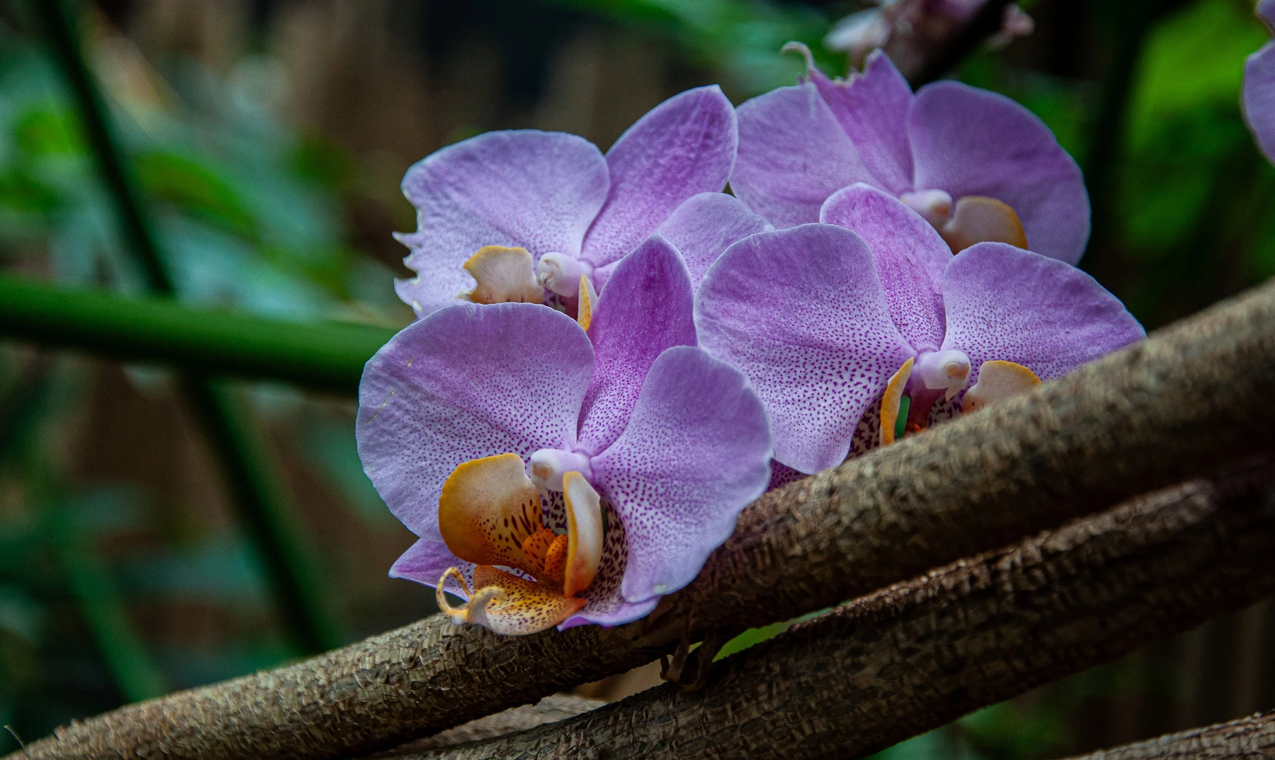 20240701_Abby_Canada (189).JPG