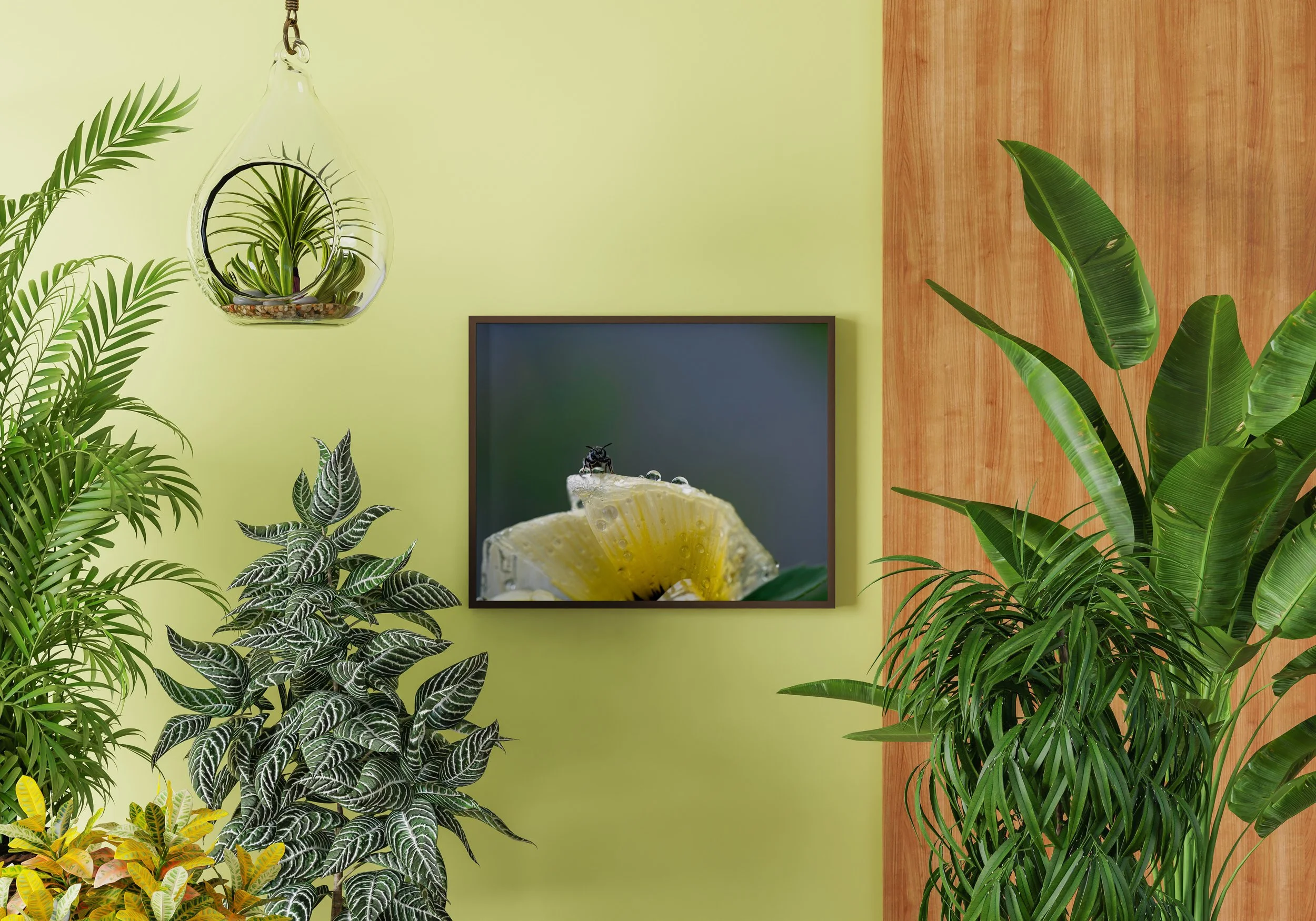 Pause Green Wall Plants.jpg