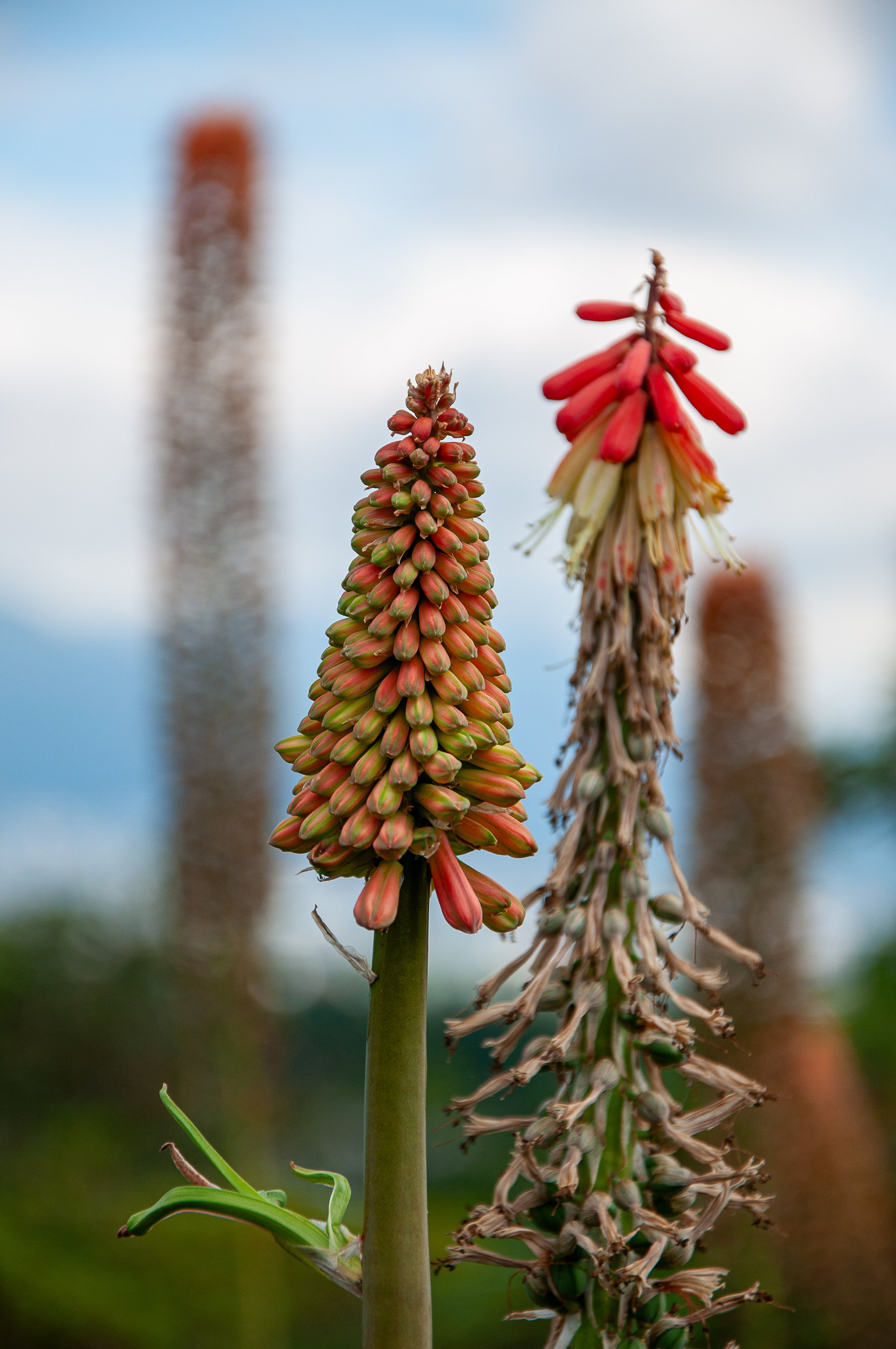 20240701_Abby_Canada (96).JPG