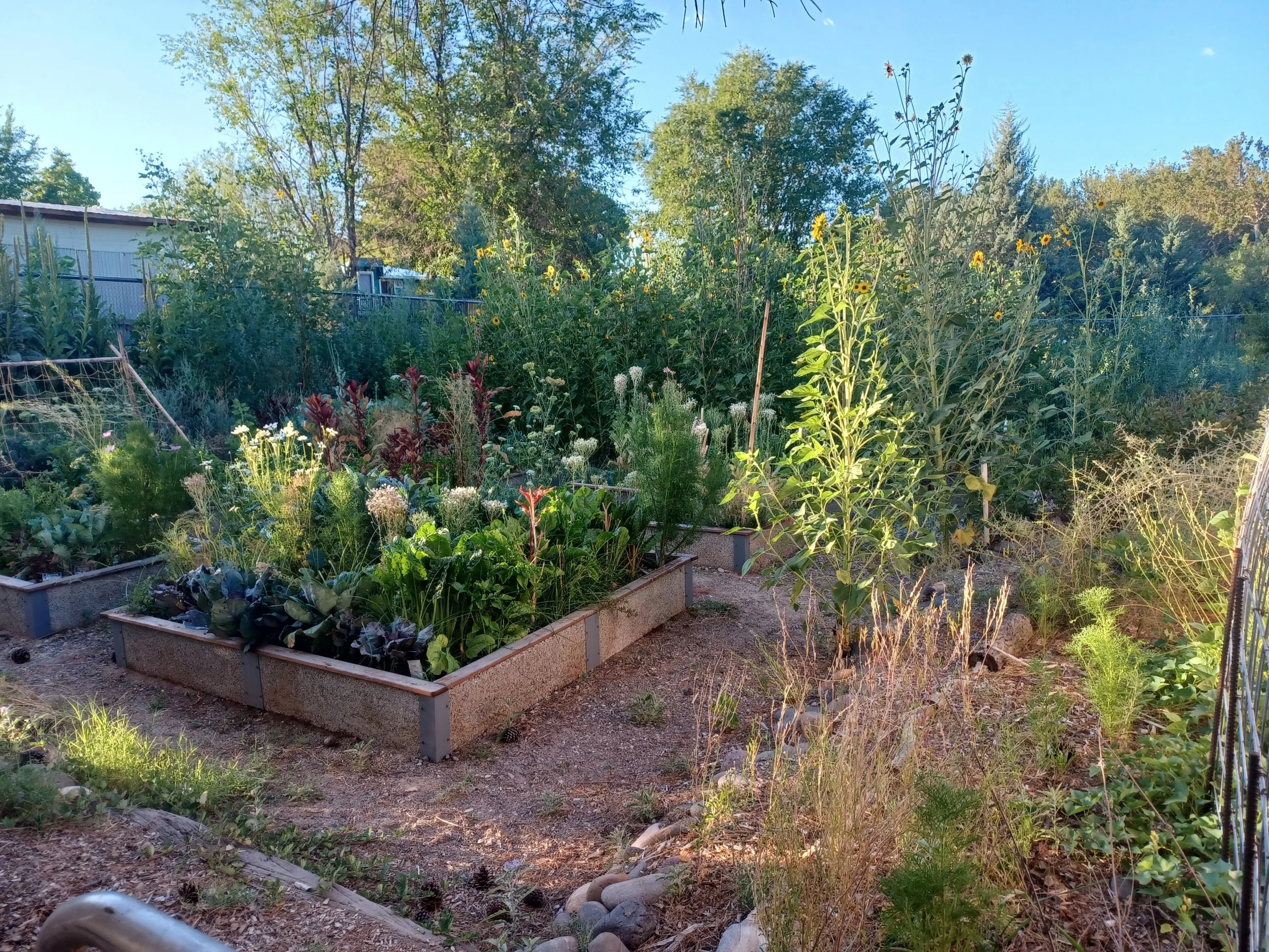 Letting Nature Lead: A Regenerative Garden Show & Tell Tour