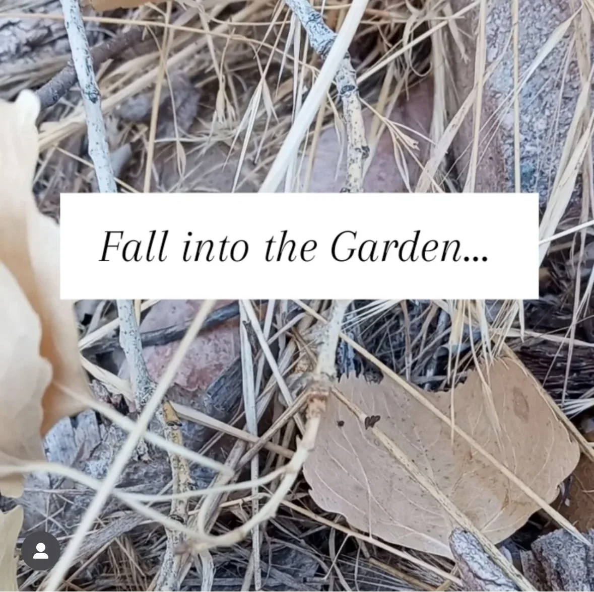 Fall Into the Garden: A Regenerative Tour & Talk