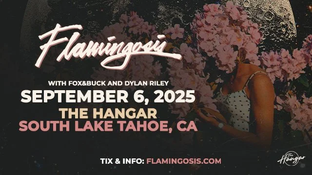 Flamingosis at The Hangar Lake Tahoe