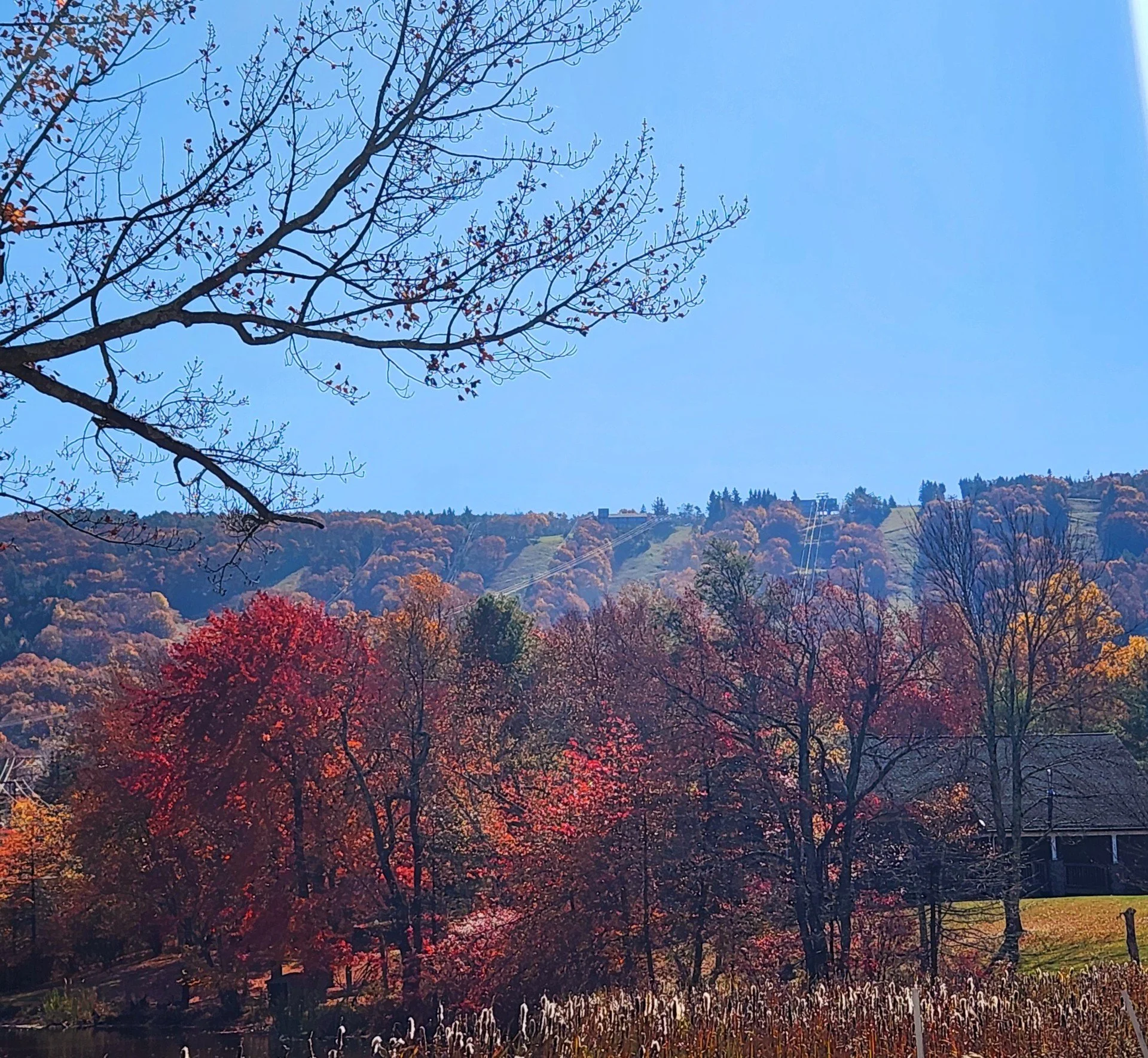 Colorful fall foliage on Camelback Mountain in Tannersville Pennsylvania