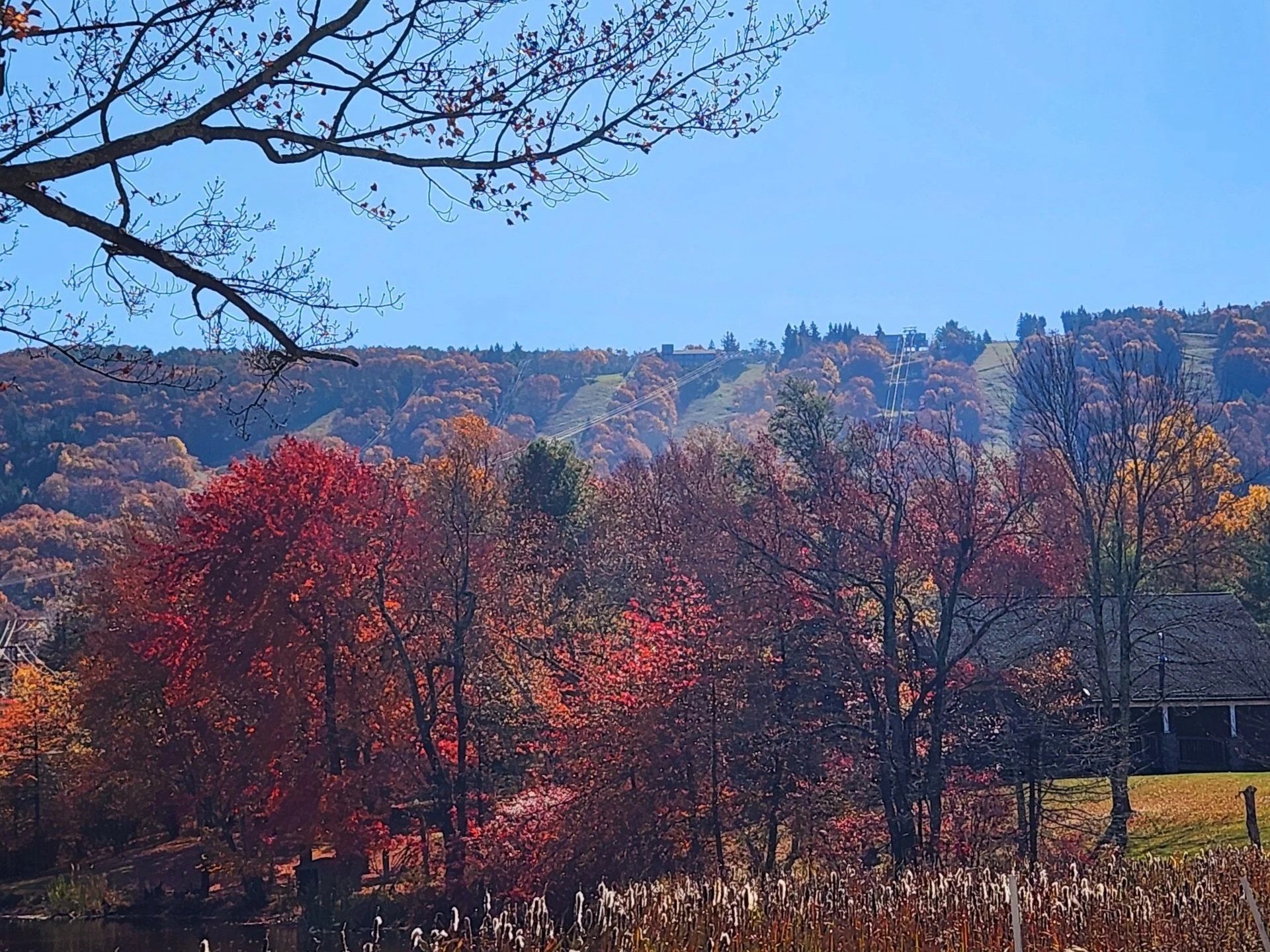 vivid fall foliage in camelback poconos