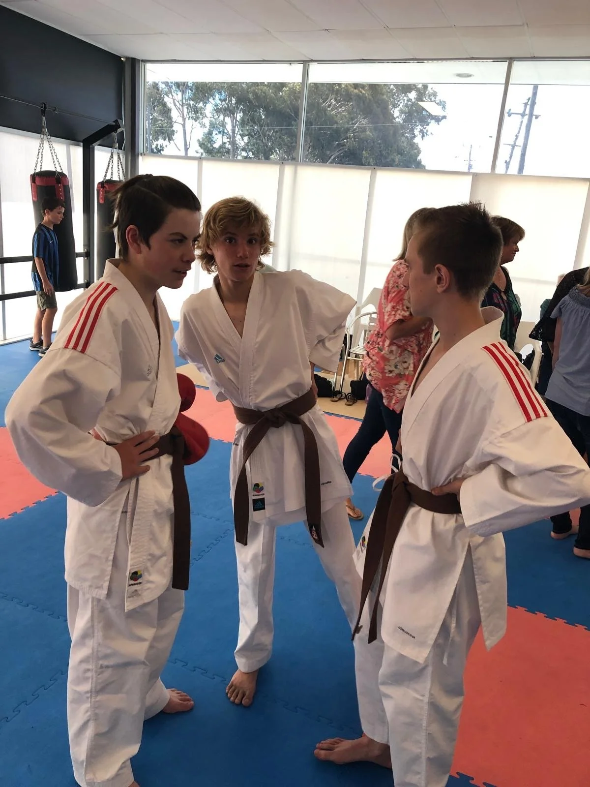 Three young martial artists in gi uniforms and brown belts, engaged in conversation in a dojo with training mats, with two other children training in the background.