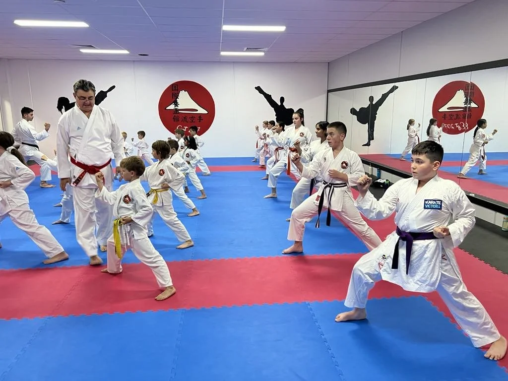 Children and adults practicing martial arts, likely karate, in a dojo with blue and red mats, a teacher instructing, and martial arts posters on the wall.
