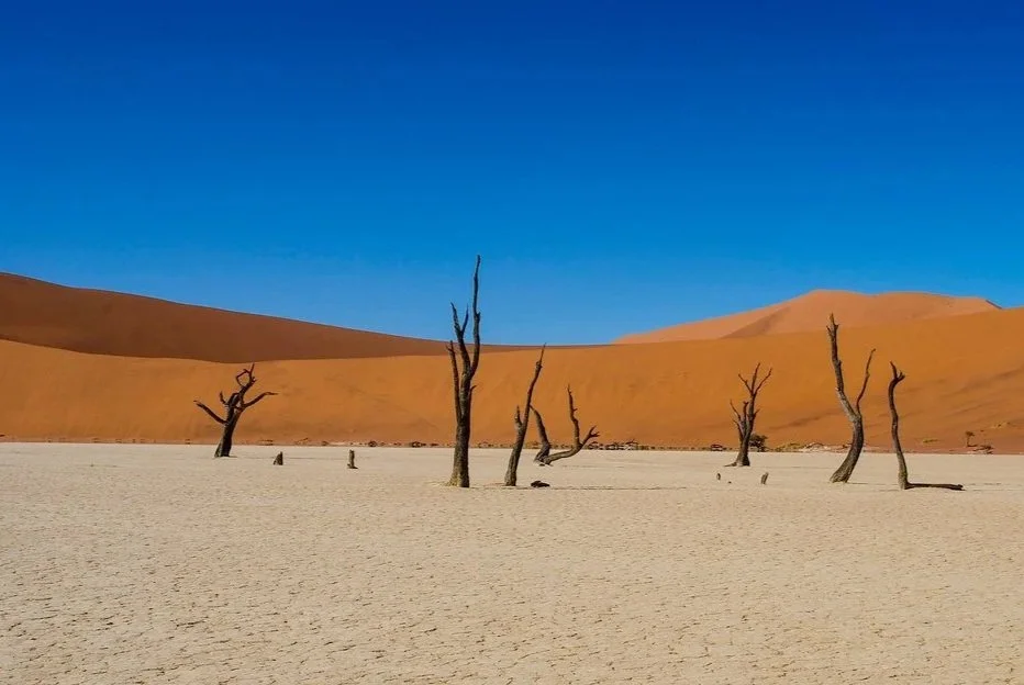 Deadvlei.jpg