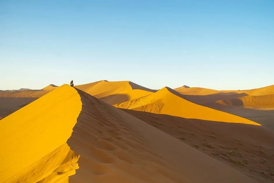 Dune+45.jpg