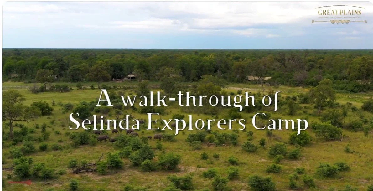 Selinda Explorers