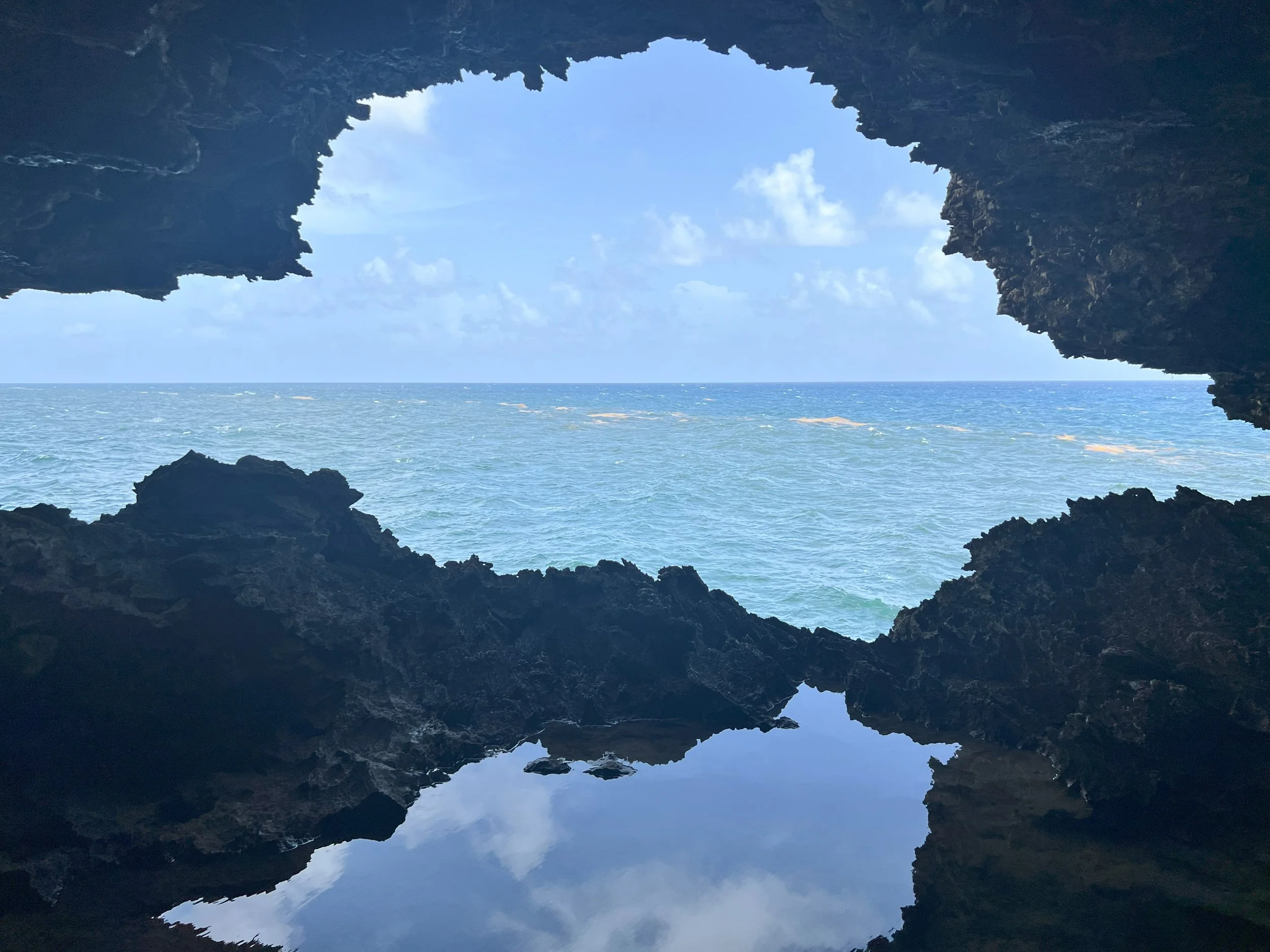 Animal Flower Cave.jpg