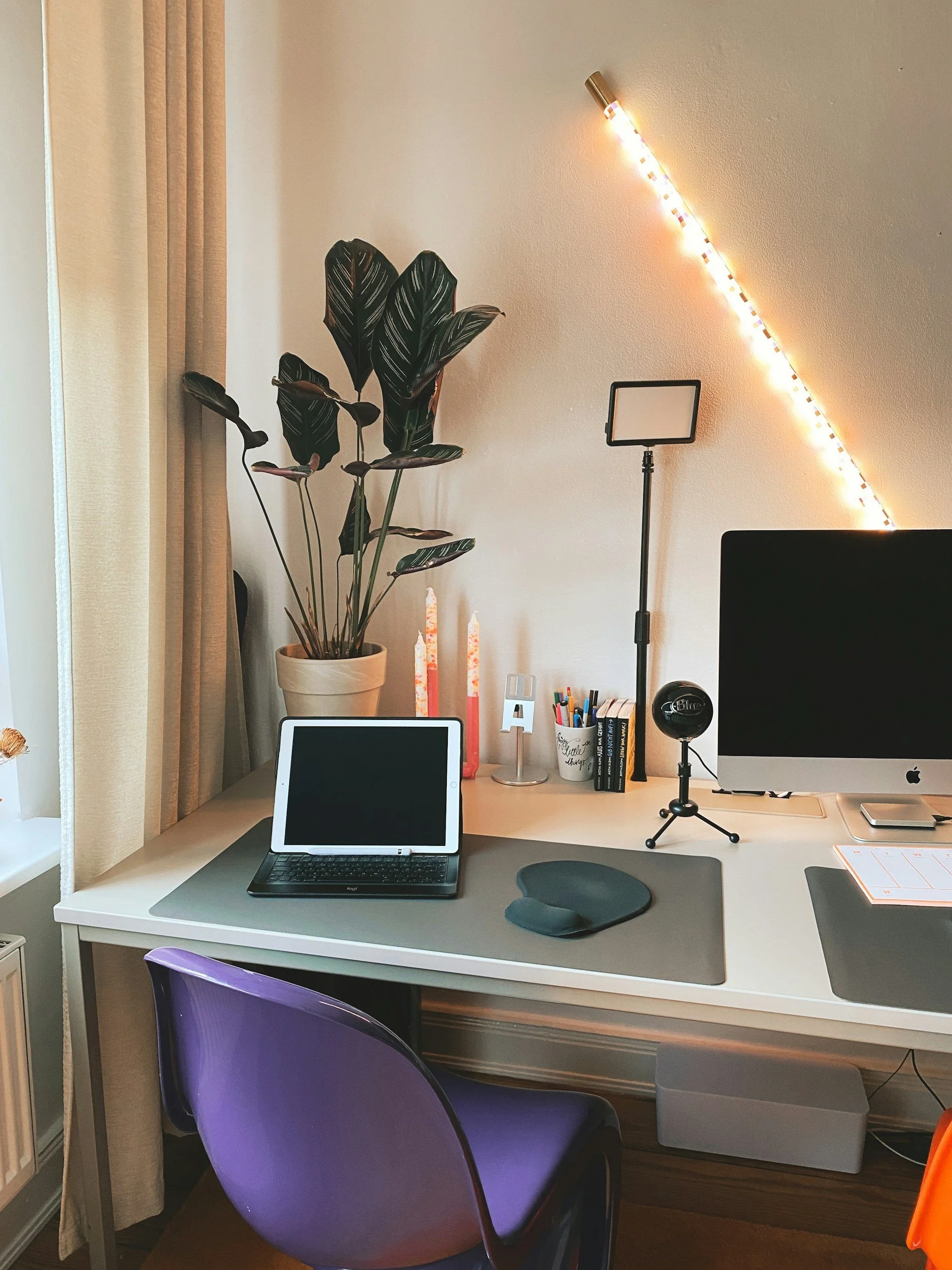 A picutre of a computer with a plant and purple office chair.