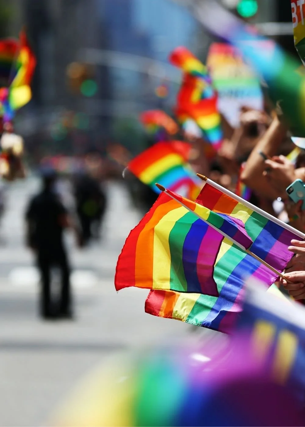 A picture of small rainbow pride flags.