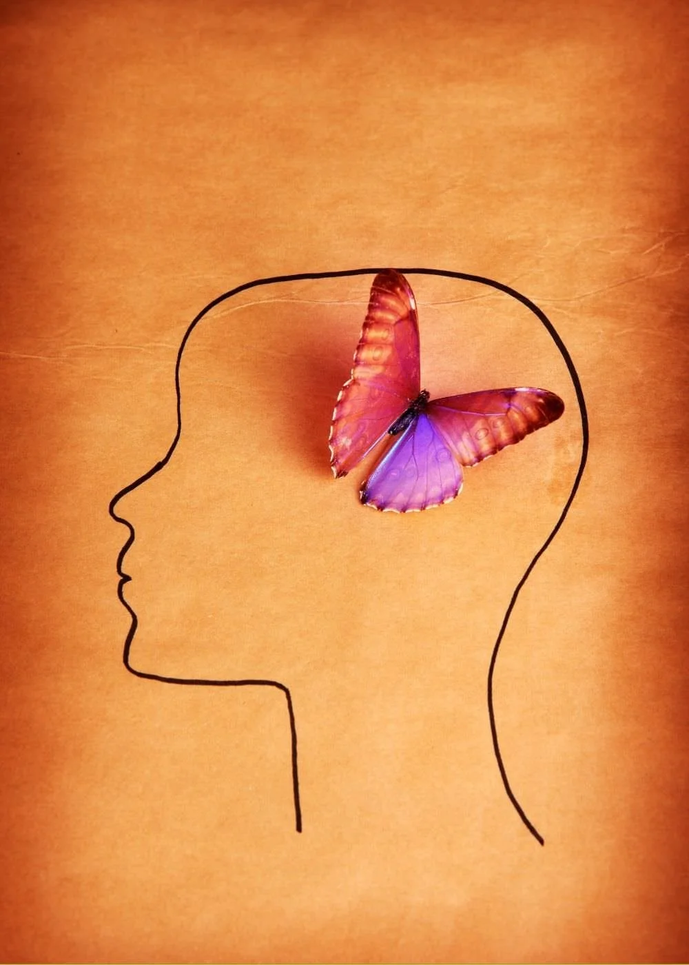 A picture of a hand-drawn head in profile view, with a butterful.