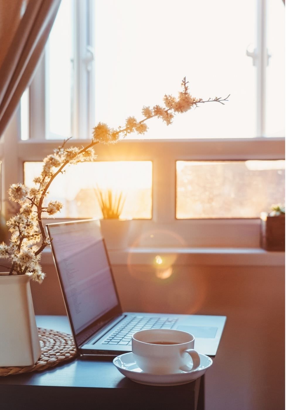 A picture of a laptop, a coffee mug, and a flower with warm light coming from a window.