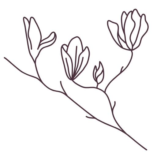 Line drawing of a branch with flowers on a black background.