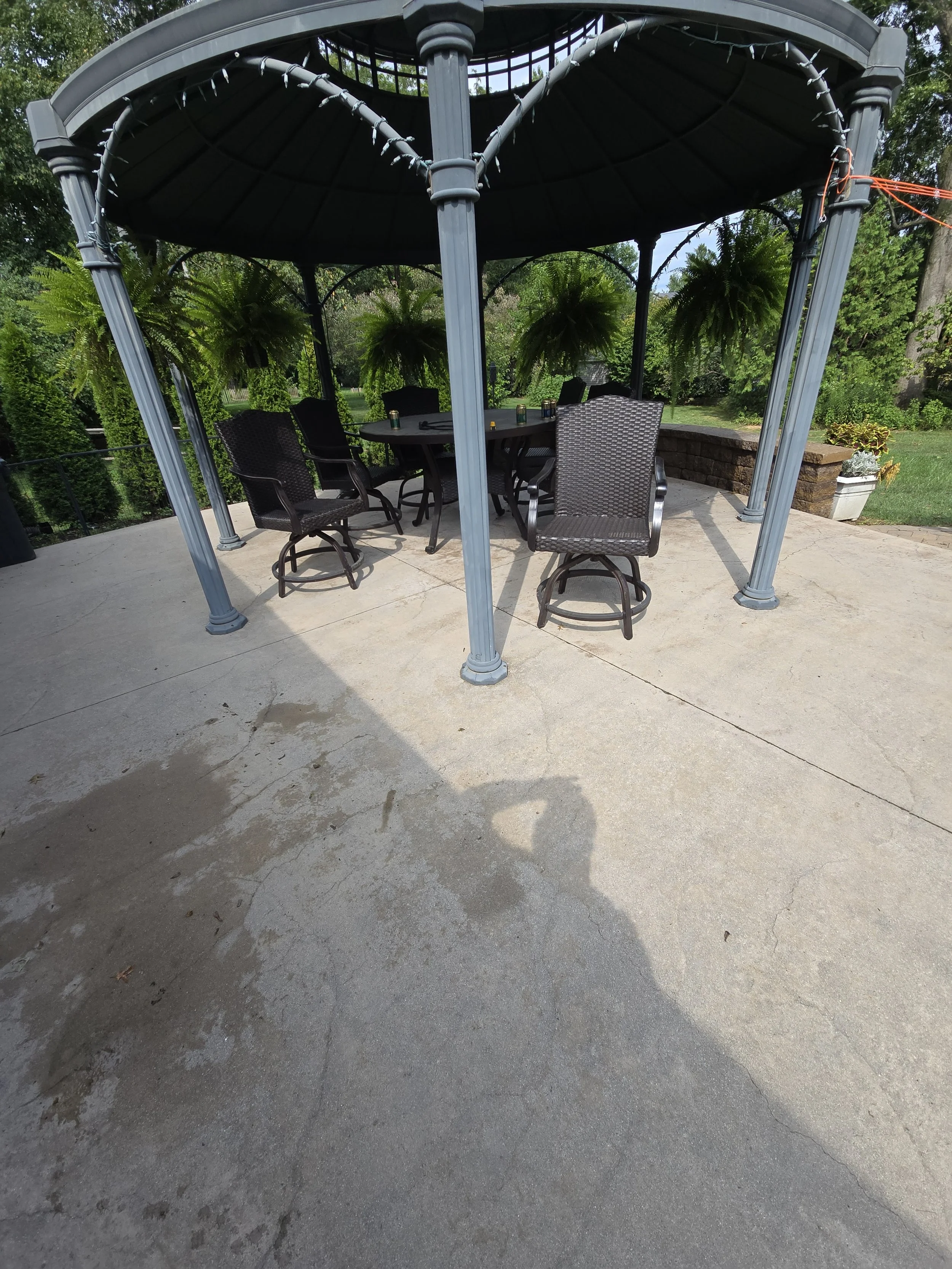 20250824_152654.jpg