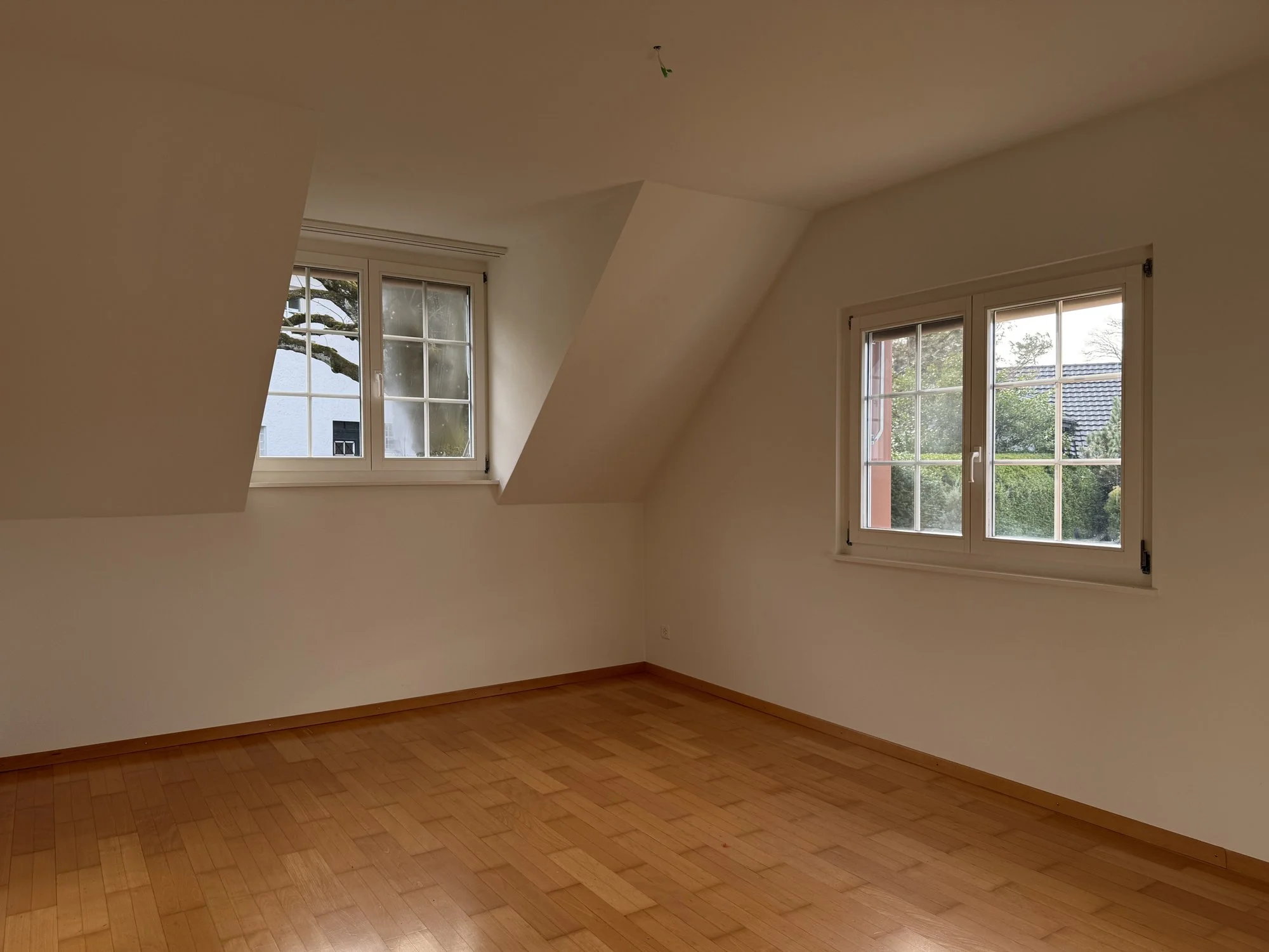 Zimmer Villa in Riehen