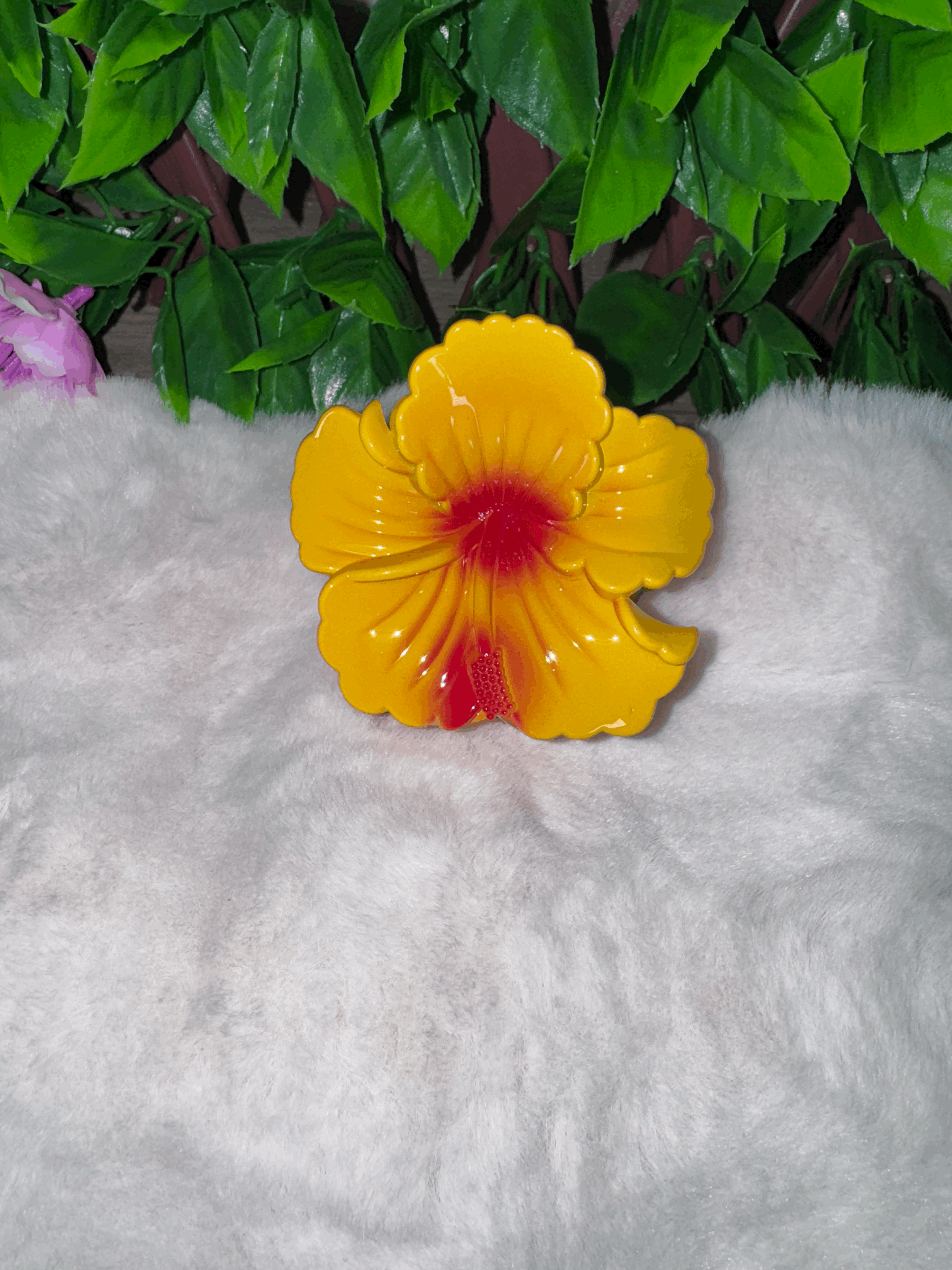 HIBISCUS DREAM