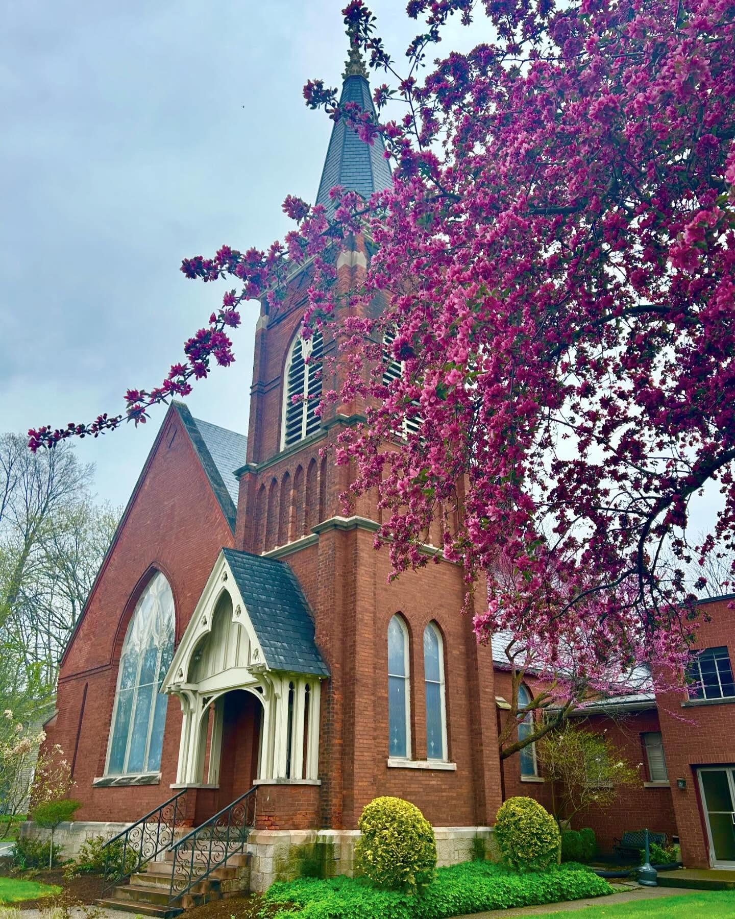 A tall brick church with pointed steeple surrounded by blooming pink cherry blossom trees.