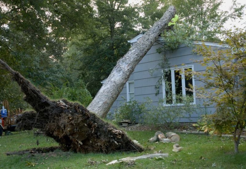 The Essential Guide to Hurricane and Storm Damage Claims