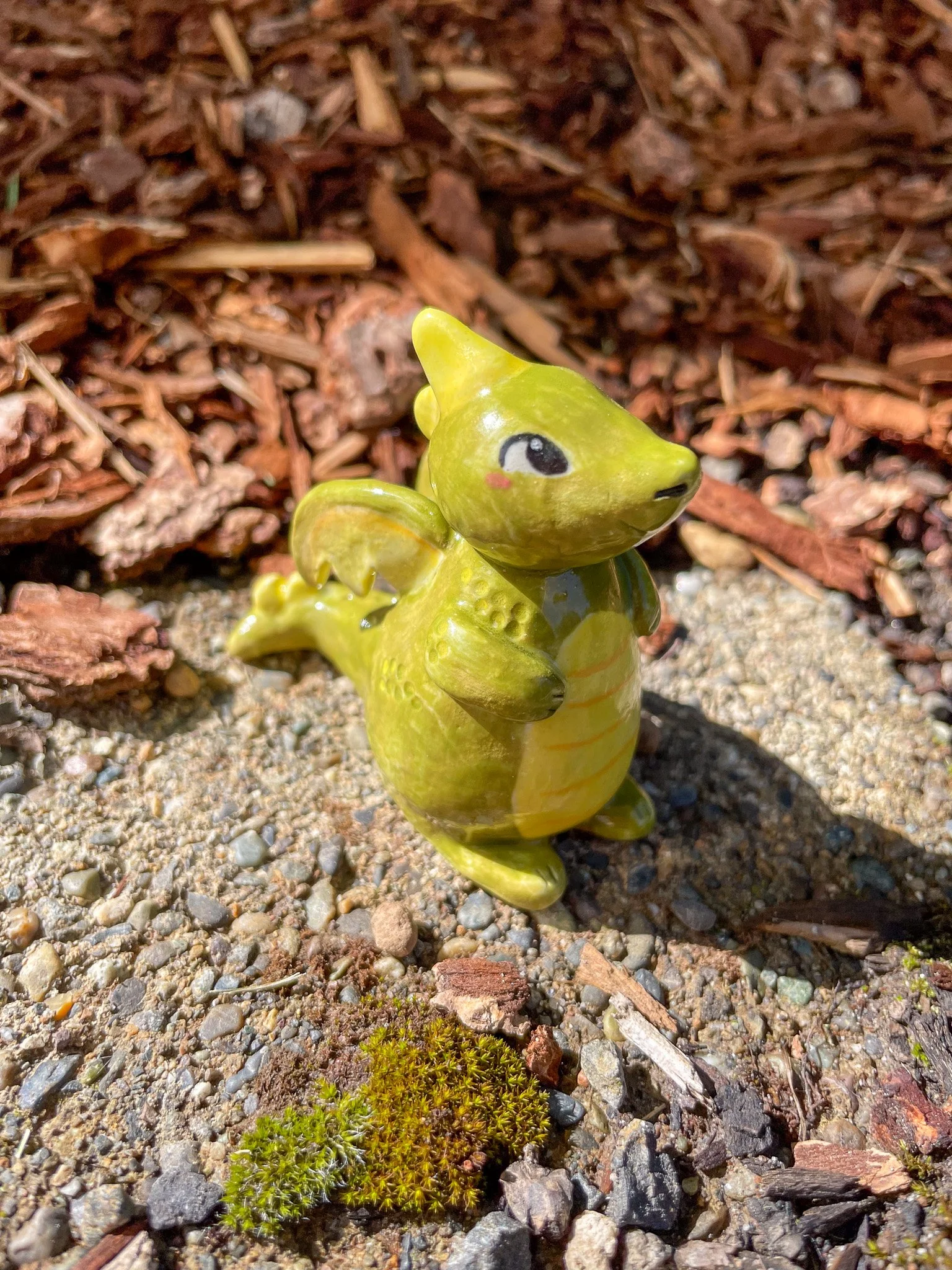 here be dragons (ages 7+)